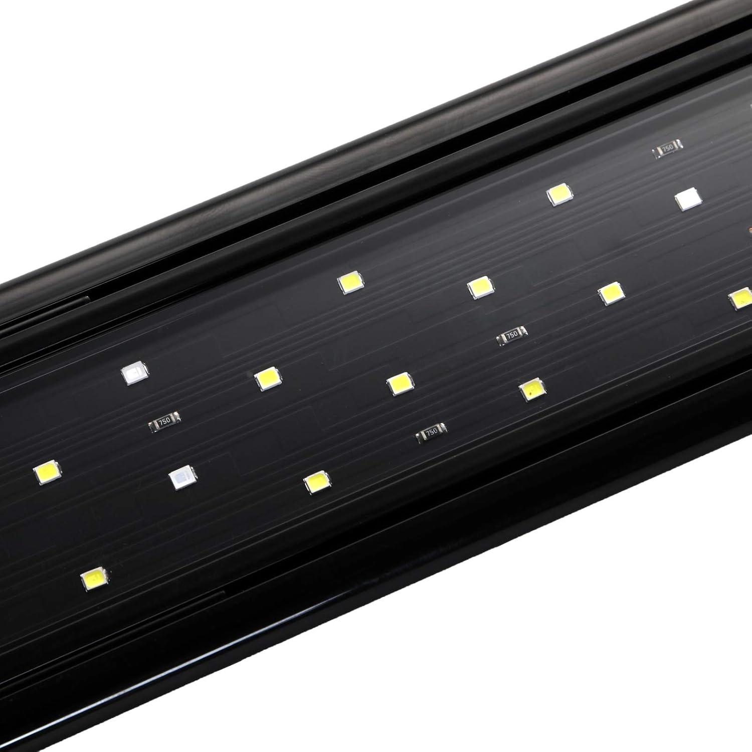 How Our 10-Gallon ⁤Tanks Glow with AQUANEAT’s LED Light