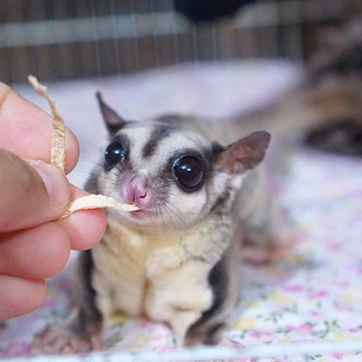 How Our​ Sugar ⁤Gliders Thrived on These Natural‌ Fish Stick Treats
