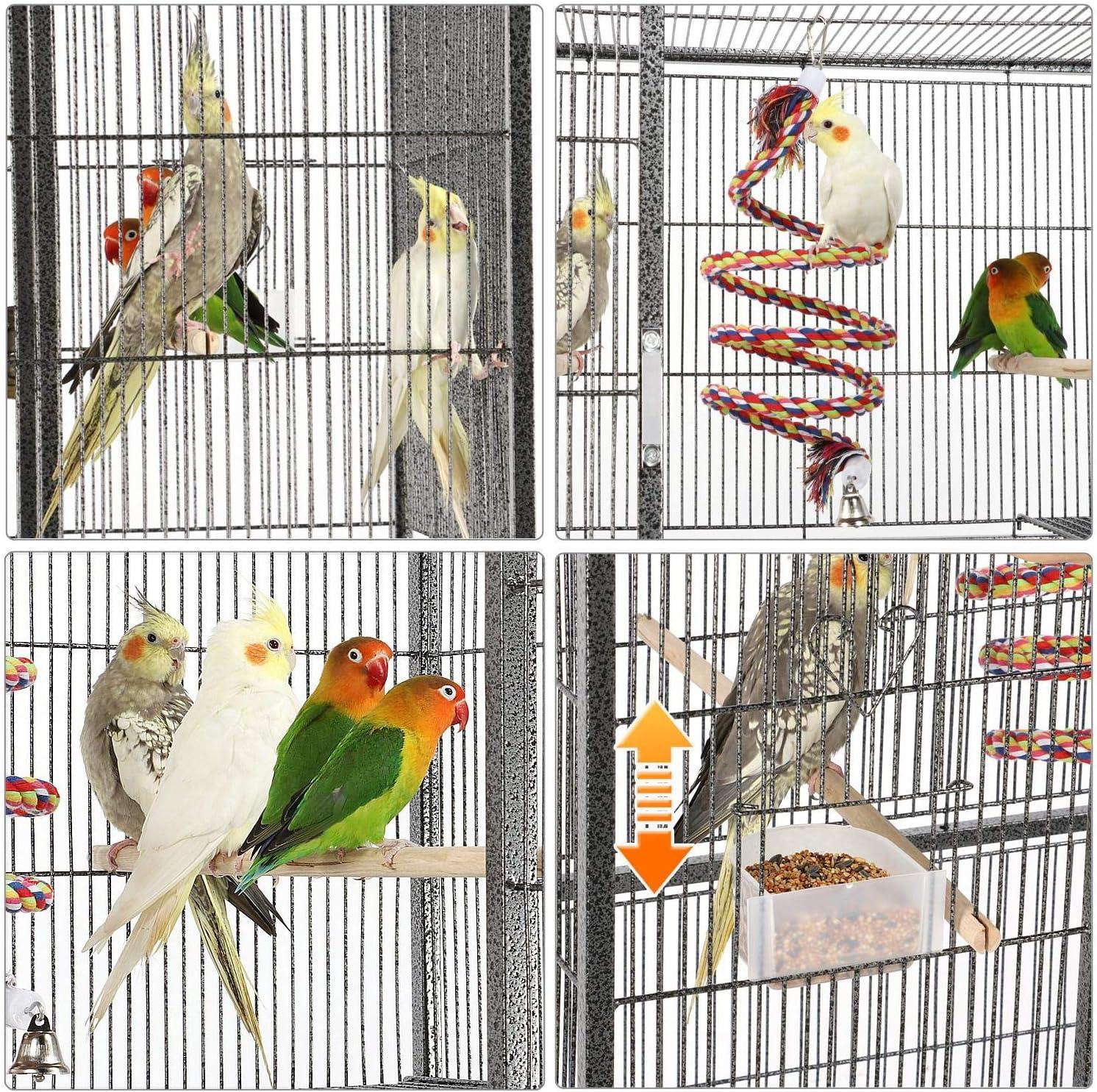 Our Spacious Haven for Birds and Small Pets: Safe,Sturdy,and Stylish