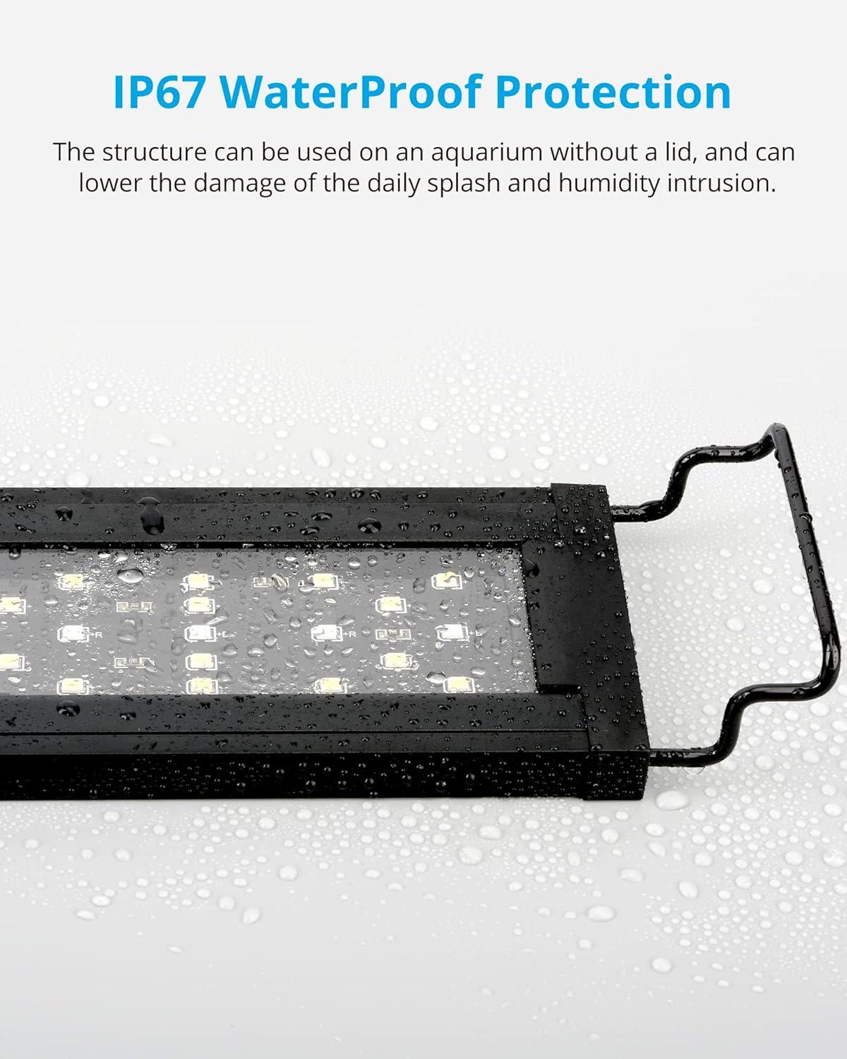 How we Elevated Our Aquascape with Nature’s​ Light Simulator