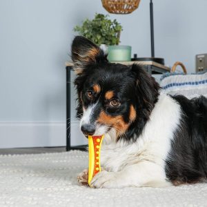 How Our Dogs Loved the Chew Toy That Cleans Their Teeth