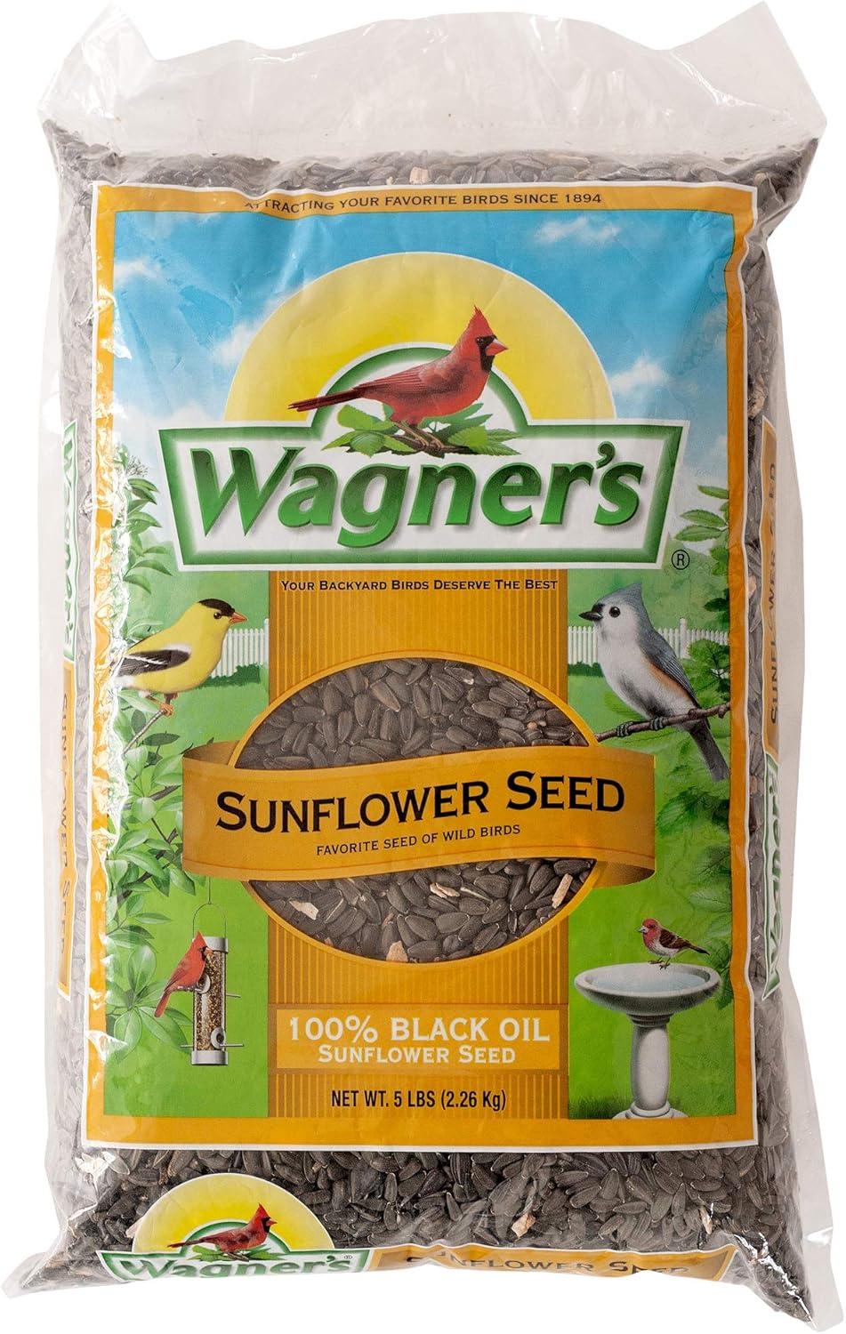How Our Garden Brightened ⁢with This⁤ Mosaic Solar Bird Feeder