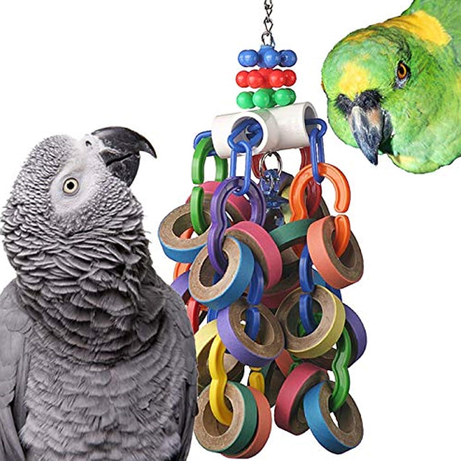 how Our Large Birds Stay Happy and Active with Bagel ⁢Fun