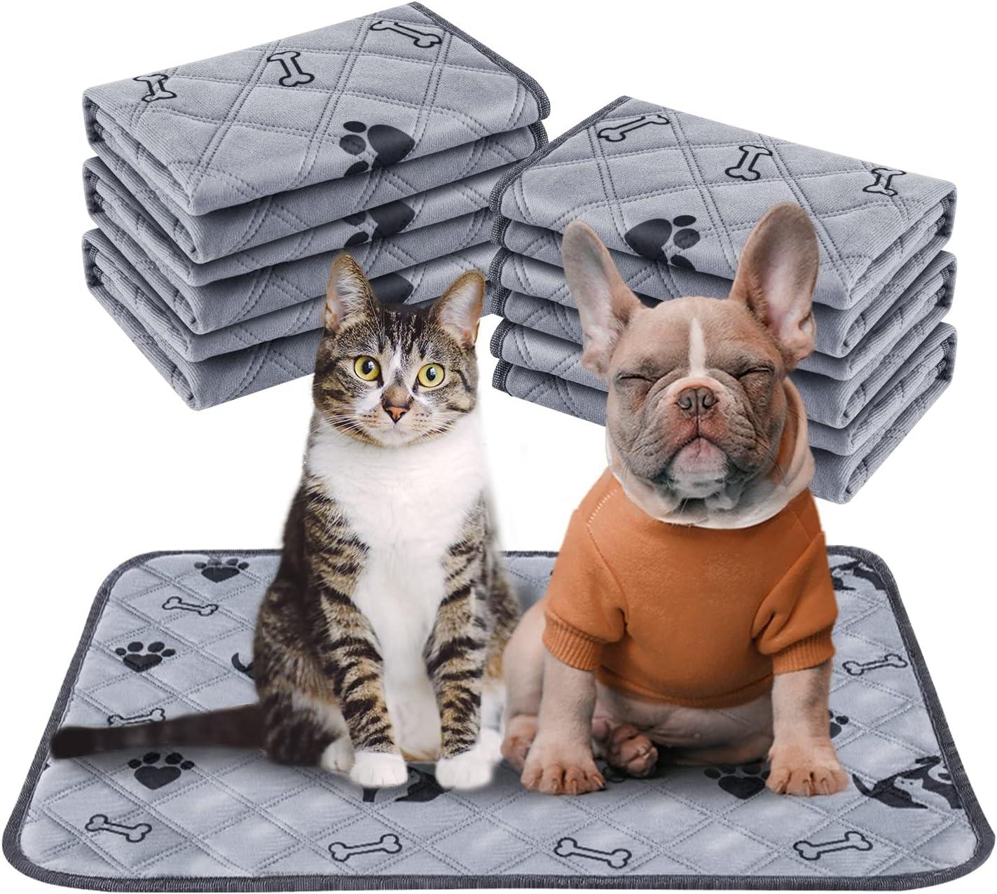Top Holiday Gifts: Pet Stockings, Plushies &​ Fun Family Games