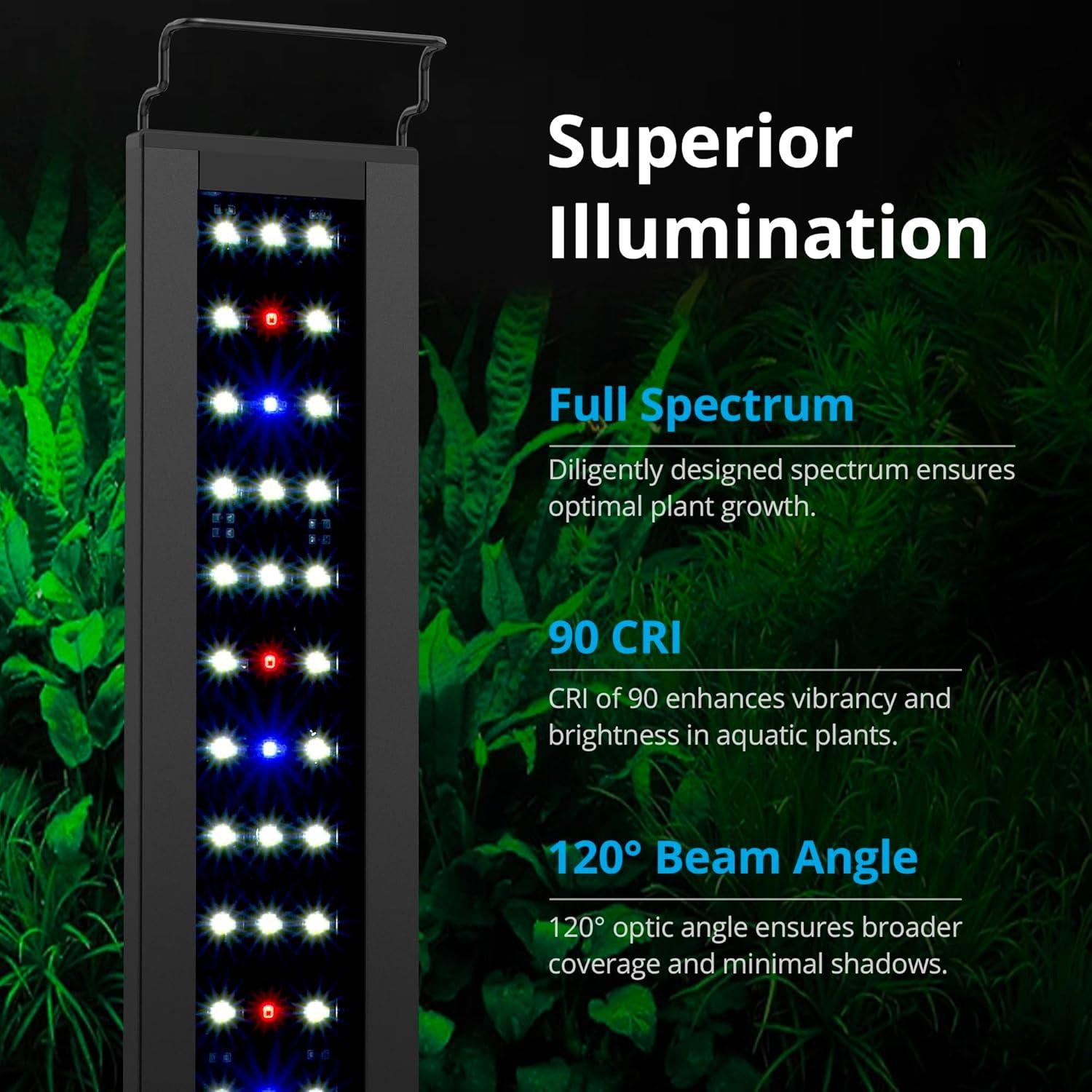 How Our Aquarium Thrived with a Light That Mimics Nature’s Rhythm