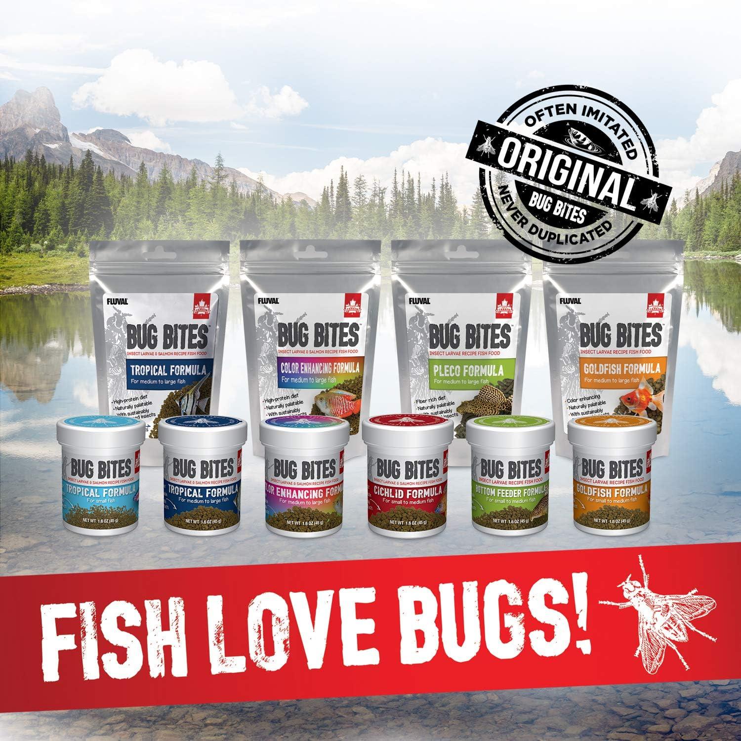 How Our Bottom Feeders Thrived on This⁢ Protein-Packed⁤ Insect Diet