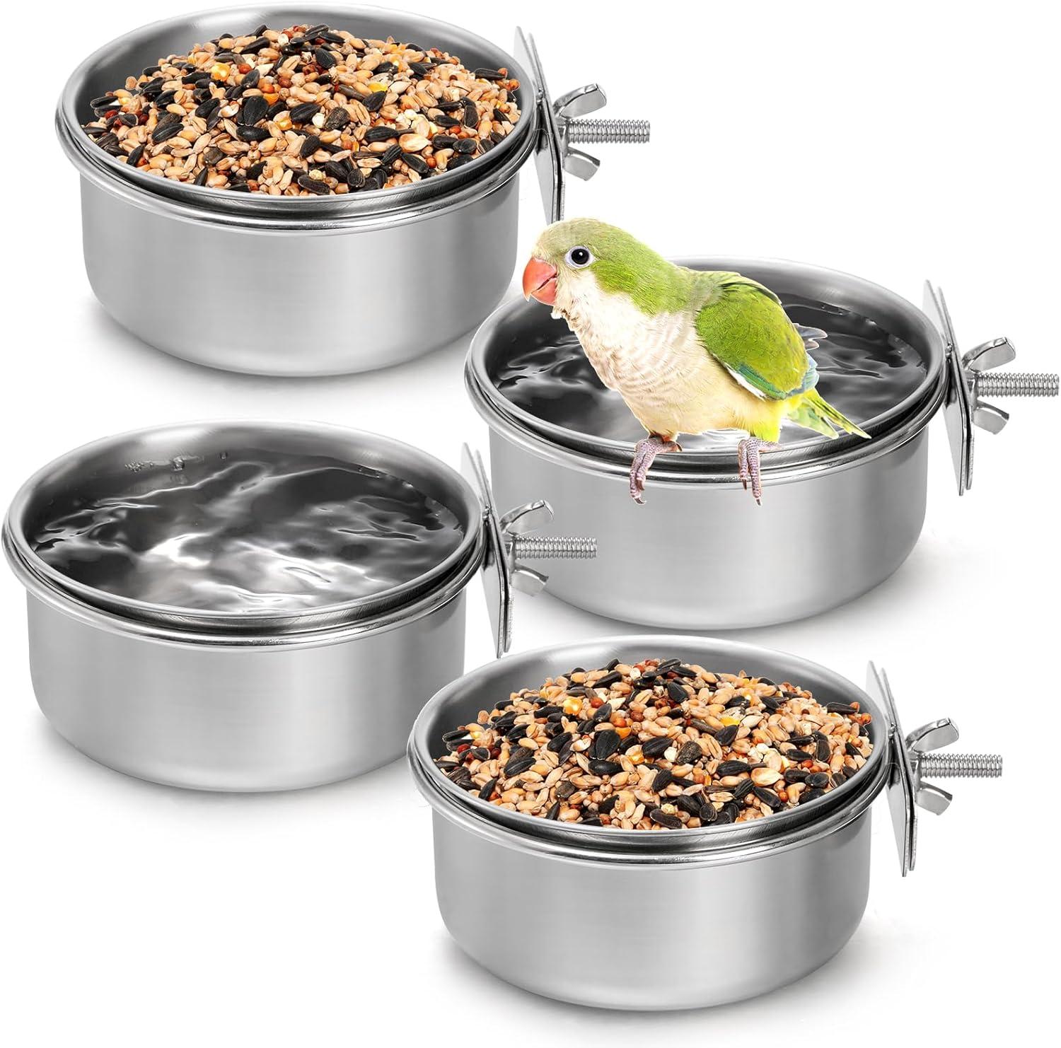 The Bird Bowls ‍That Keep Our Small Pets Fed and Mess-Free