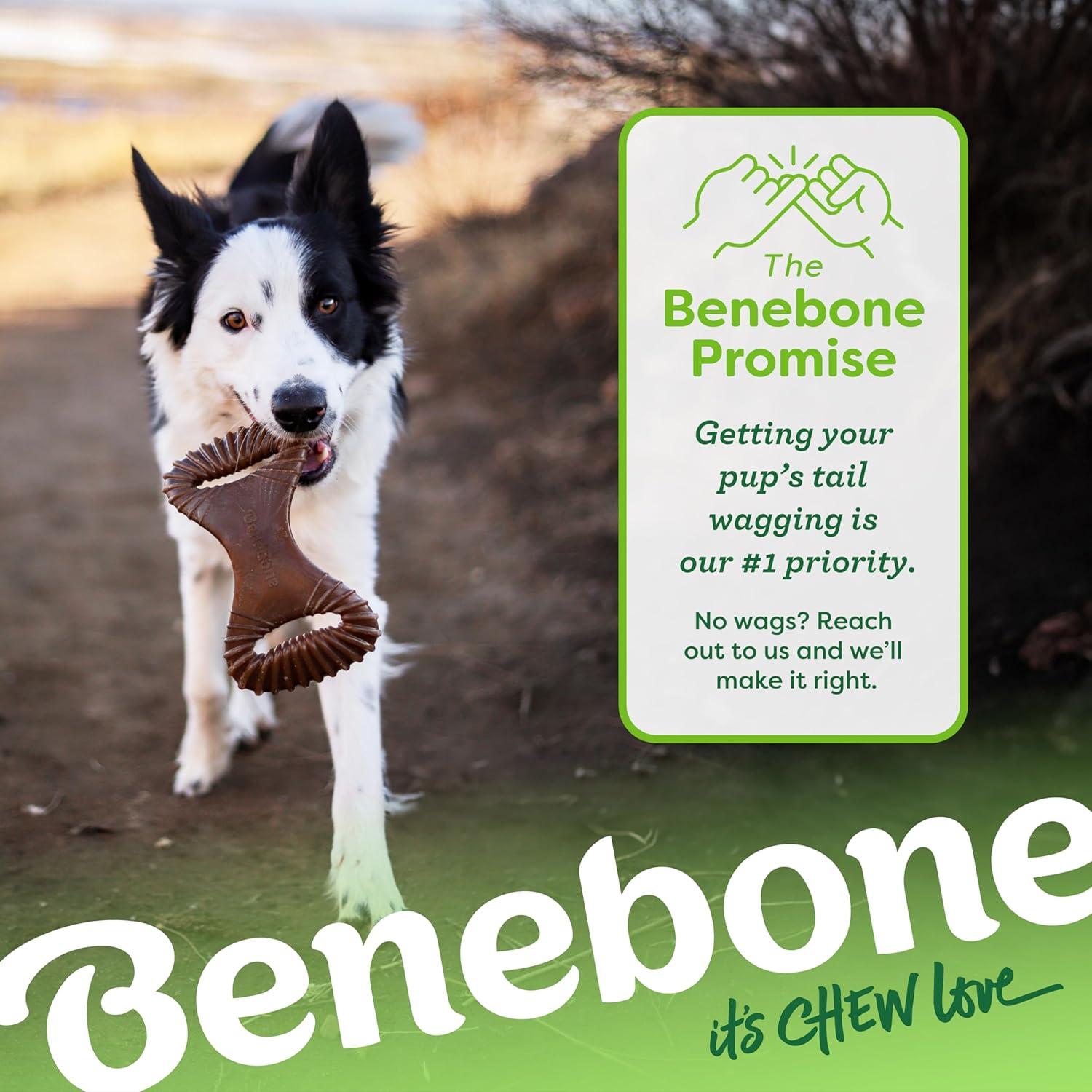 How We Found the Perfect Tough,‌ Bacon-Flavored Chew for Our Dogs
