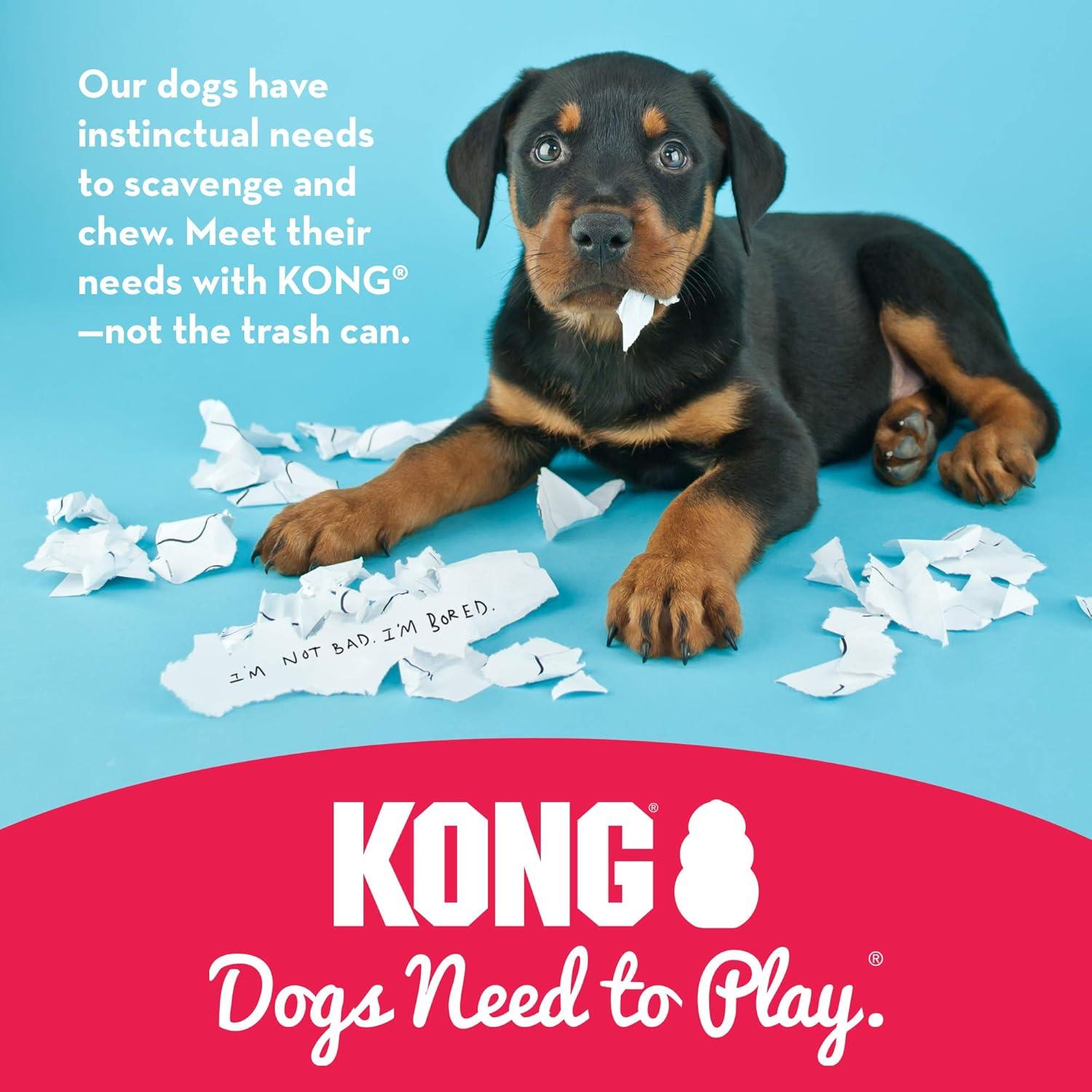 How We‌ Kept⁣ Our Dogs Busy ‍Longer with This Durable Chew Toy
