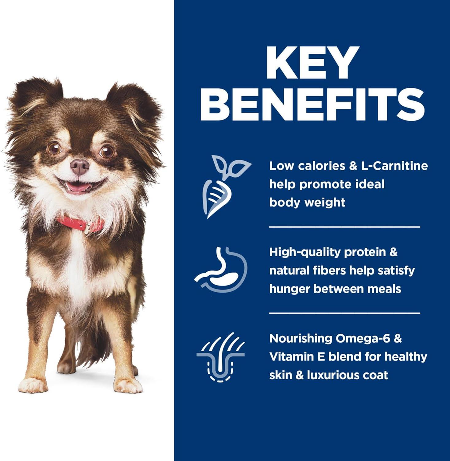 The Sensitive ⁤Stomach Solution: Nourishing Small Dogs Inside Out