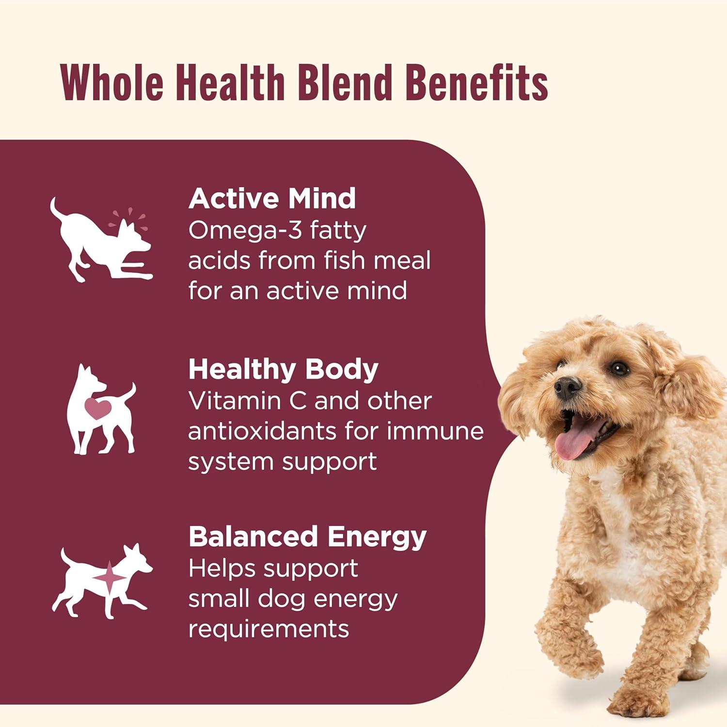 Why Our small Dogs Thrive on This Real chicken Recipe