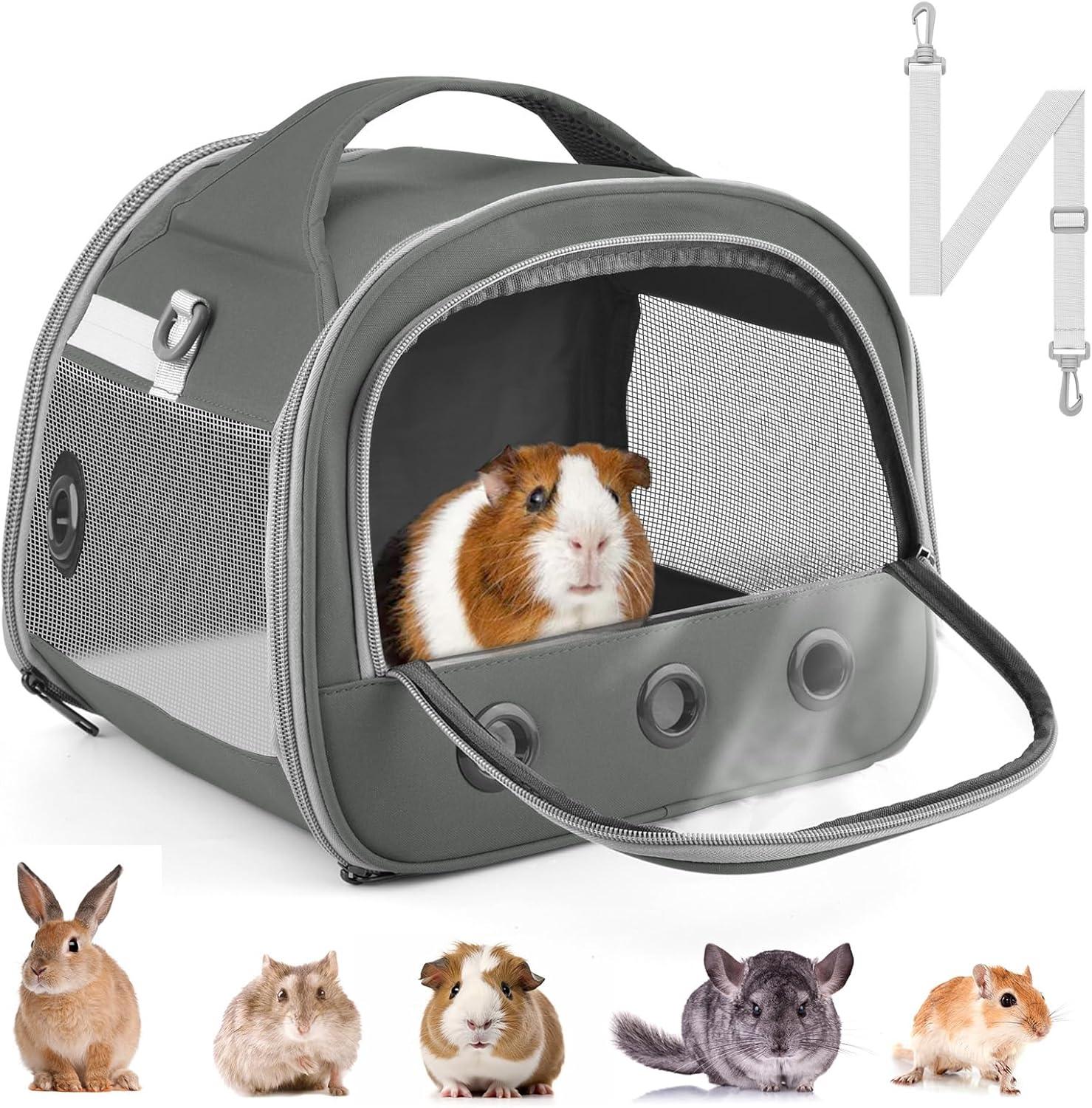 Keeping ​Our small Pets Safe​ and Comfy on Every Outing