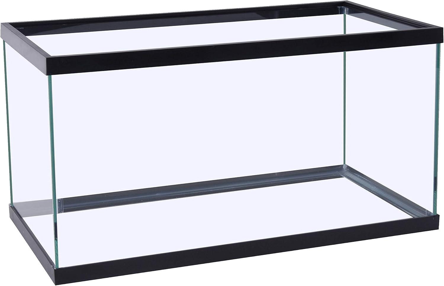 How our 29-Gallon Glass​ Aquarium Transformed Fishkeeping Fun