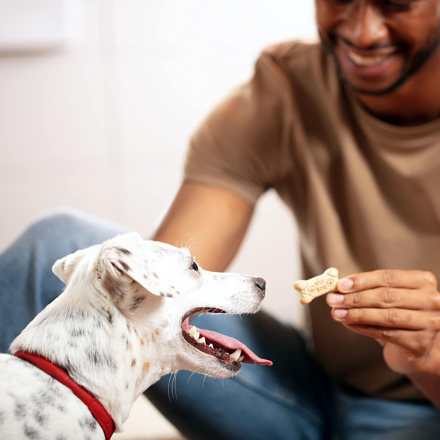 How We ⁢Brightened Treat Time with Crunchy,Wholesome Minis