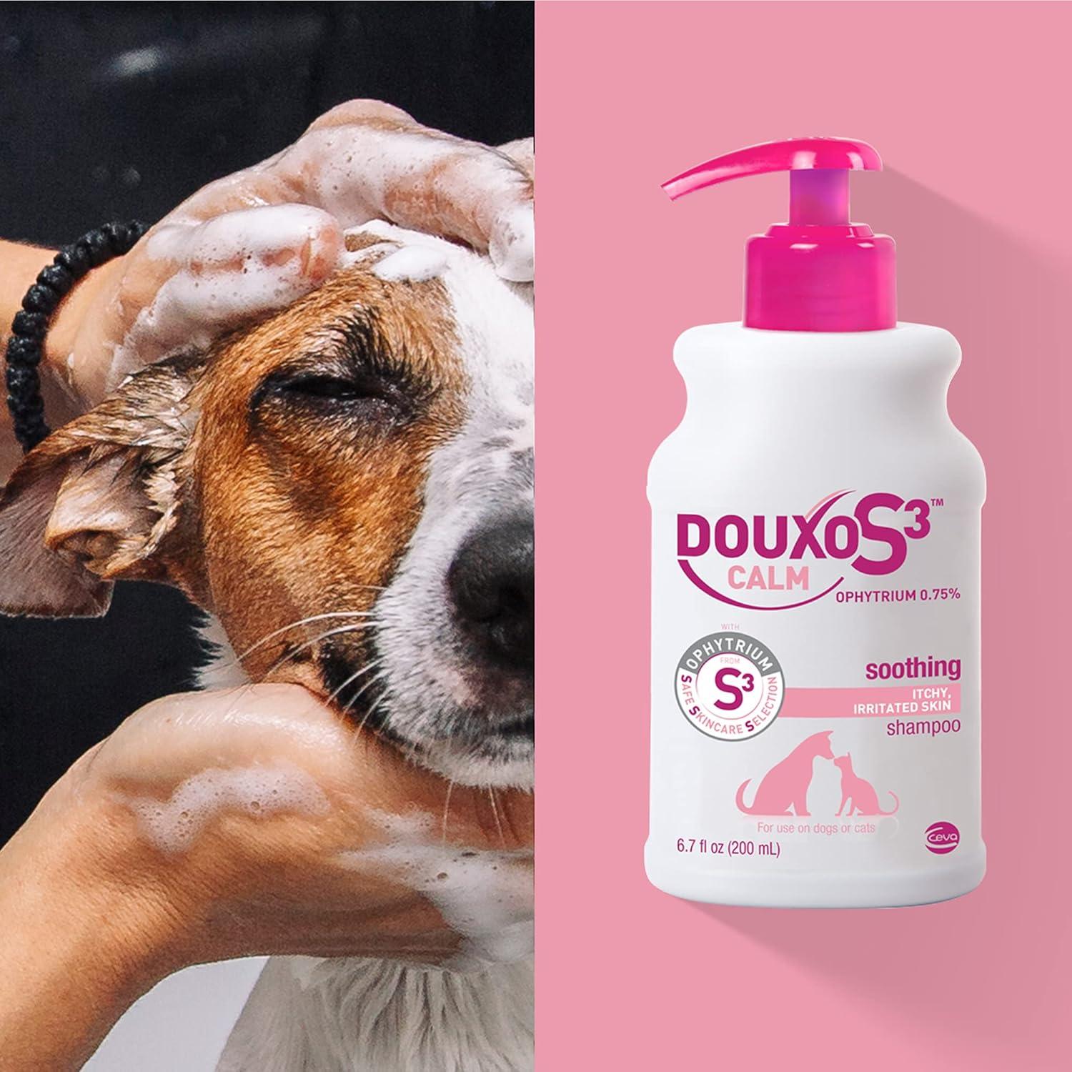 How ​We Found ⁢Relief for Our Pets’ Itchy, ‌Sensitive ‌Skin