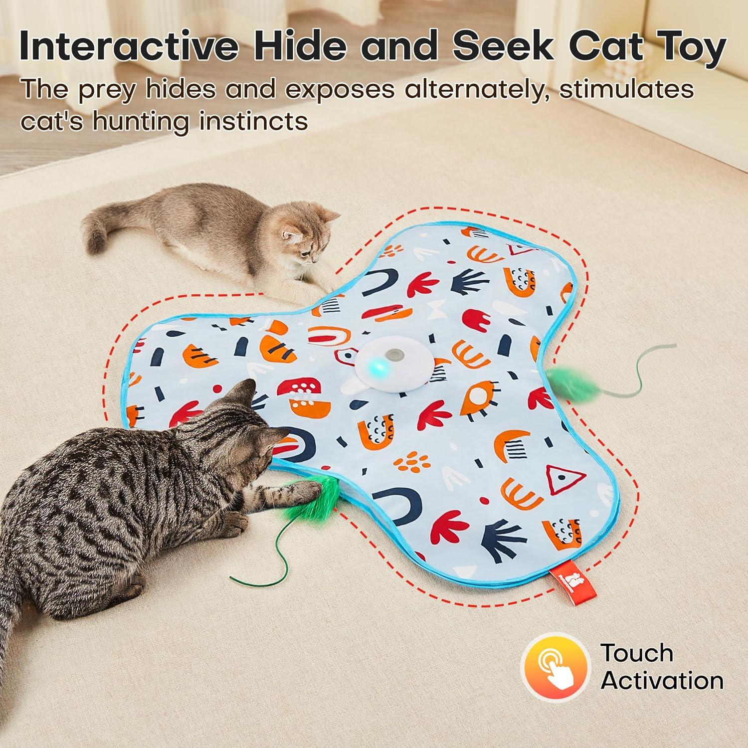 How We Keep Our Cats Active ⁢and Curious indoors Every‌ Day