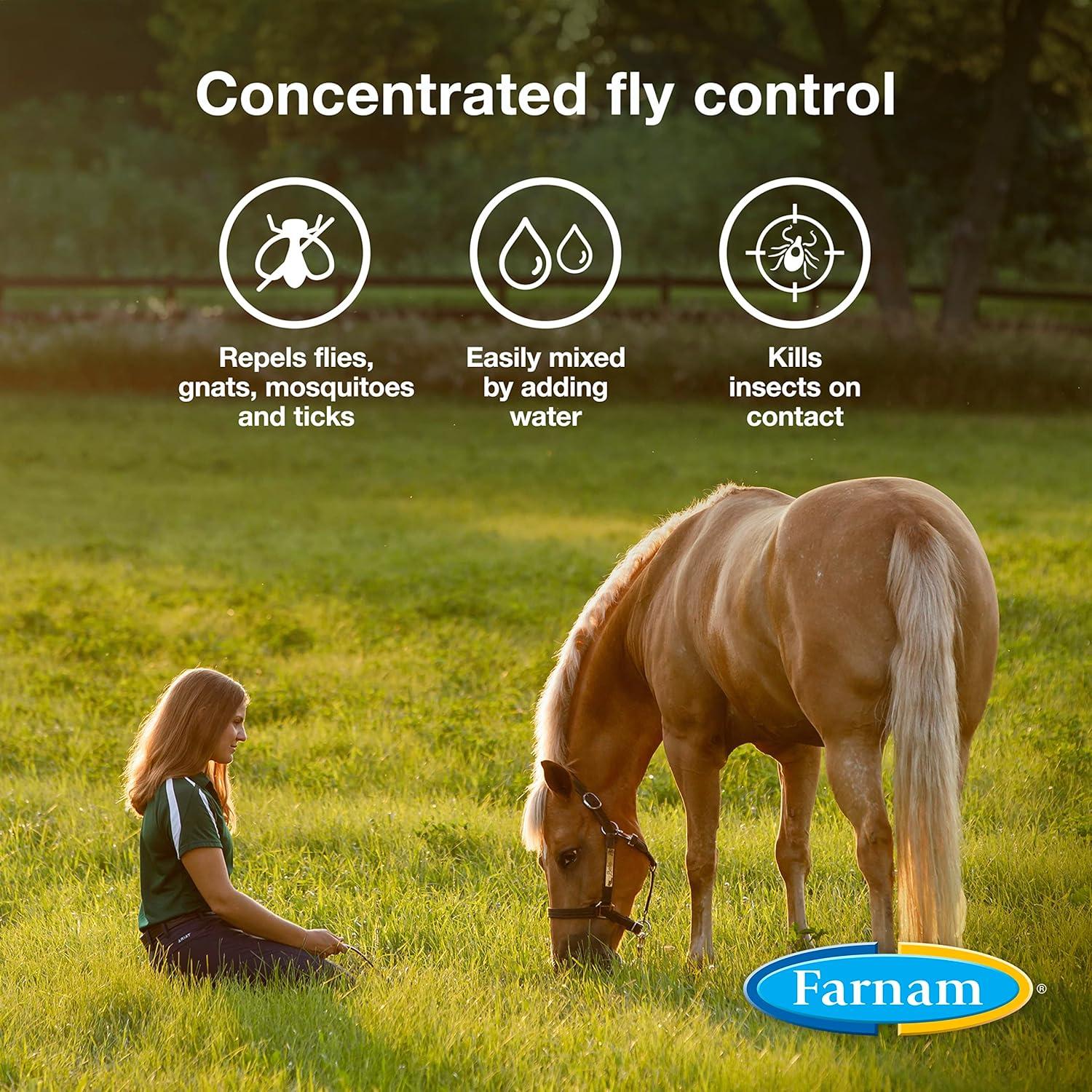 How We Mix Bulk Fly Spray That Keeps Our Horses Bite-Free