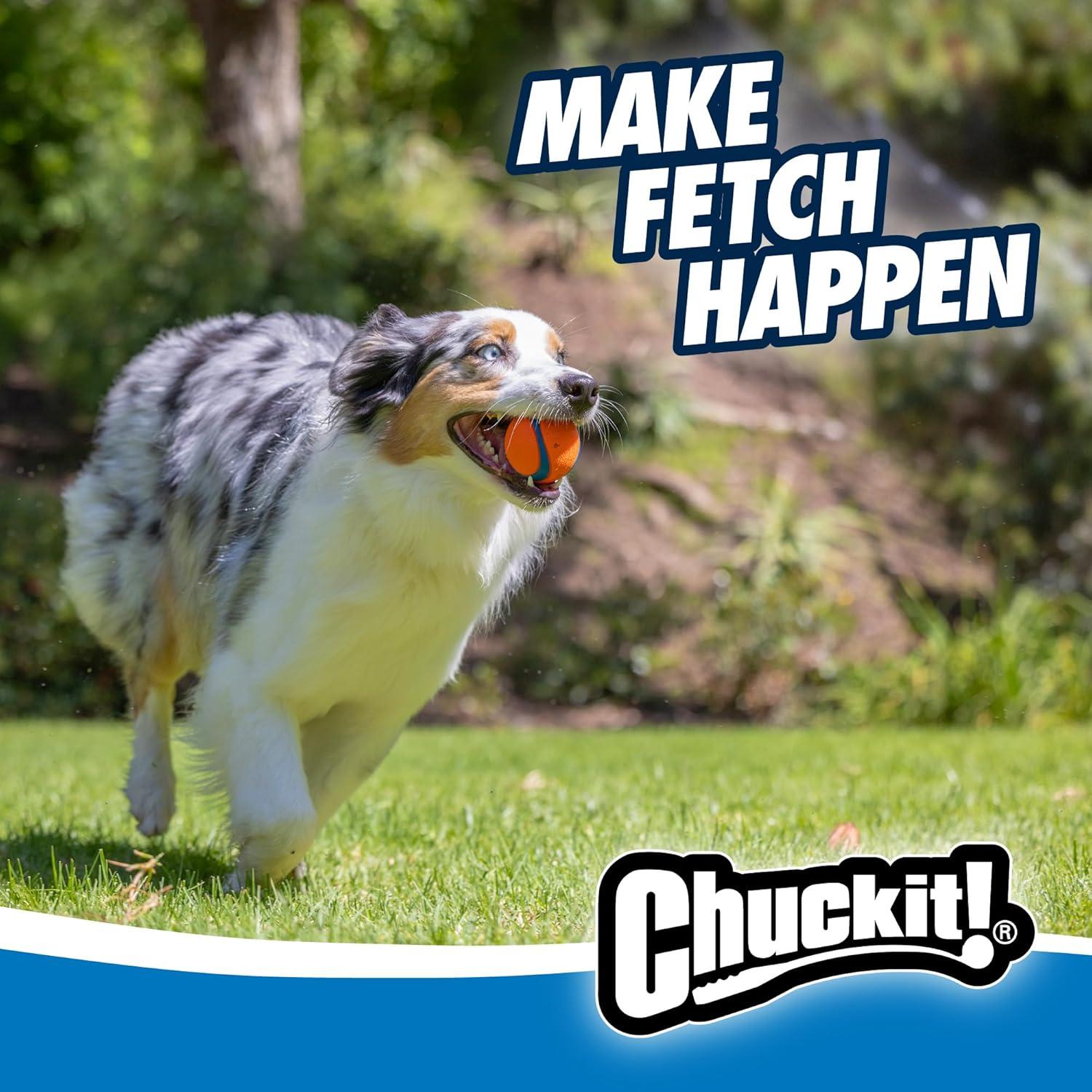 How Our Dogs Found Endless Joy with‌ Chuckit!’s High-Bounce Fetch Trio