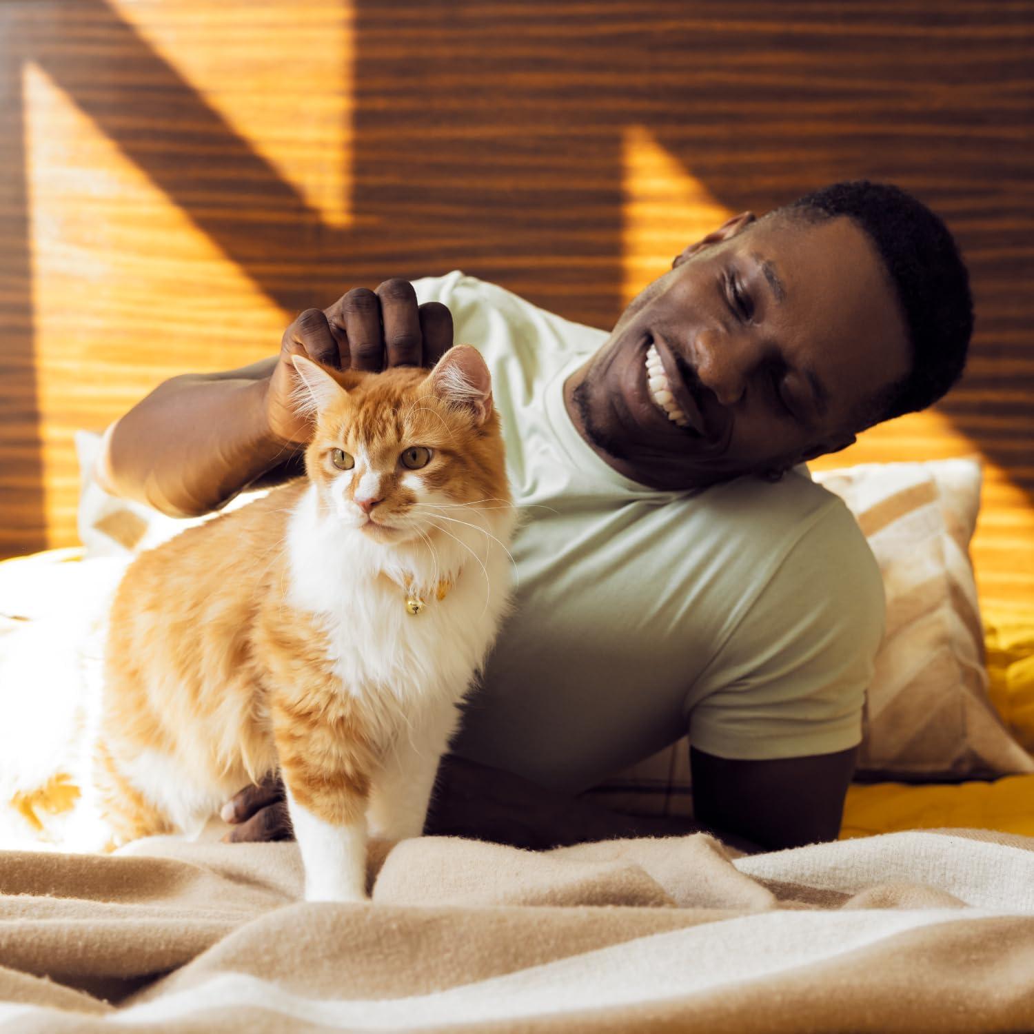 why Our Cats Can’t Resist These⁤ Low-Calorie Tuna Treats