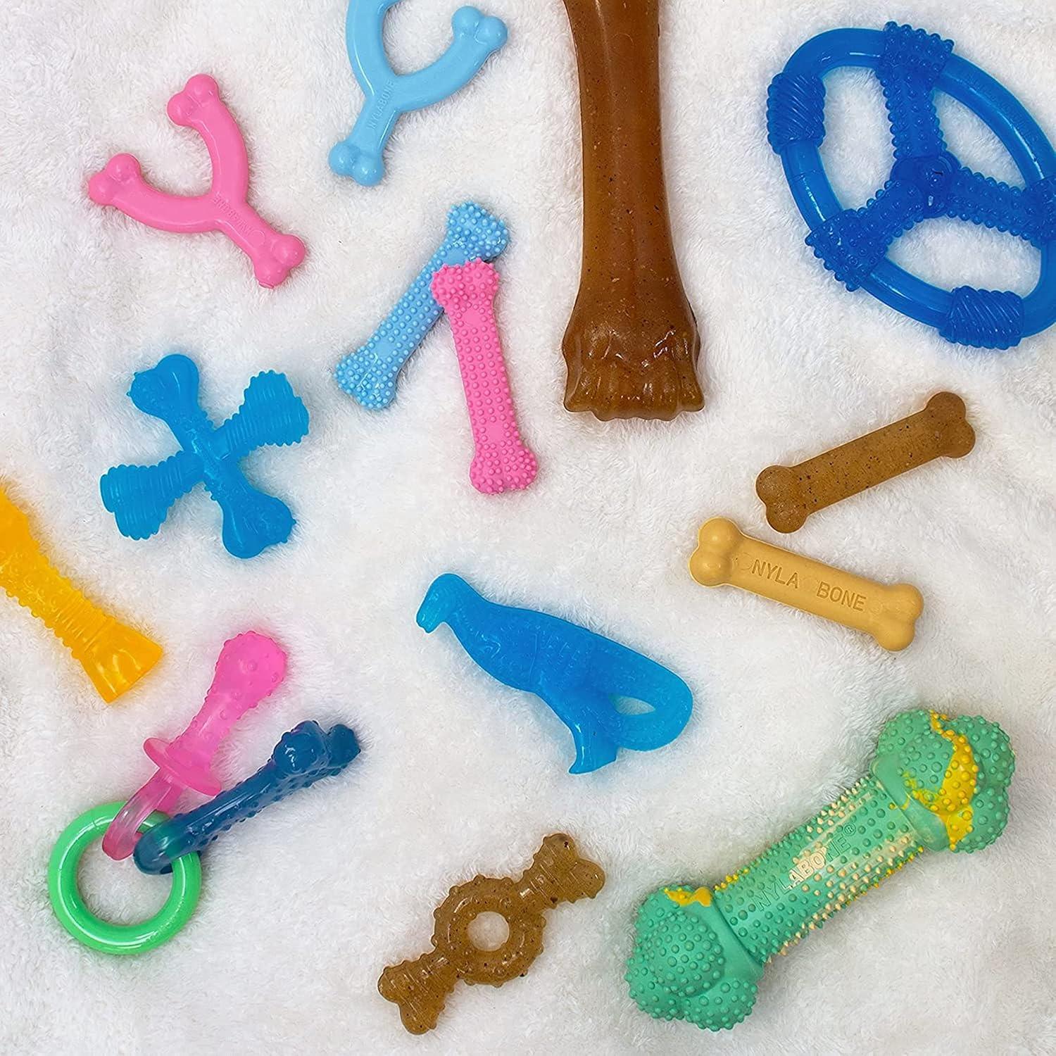 How Our Puppy's Teething Pain Faded‌ with Tasty Chew Toys