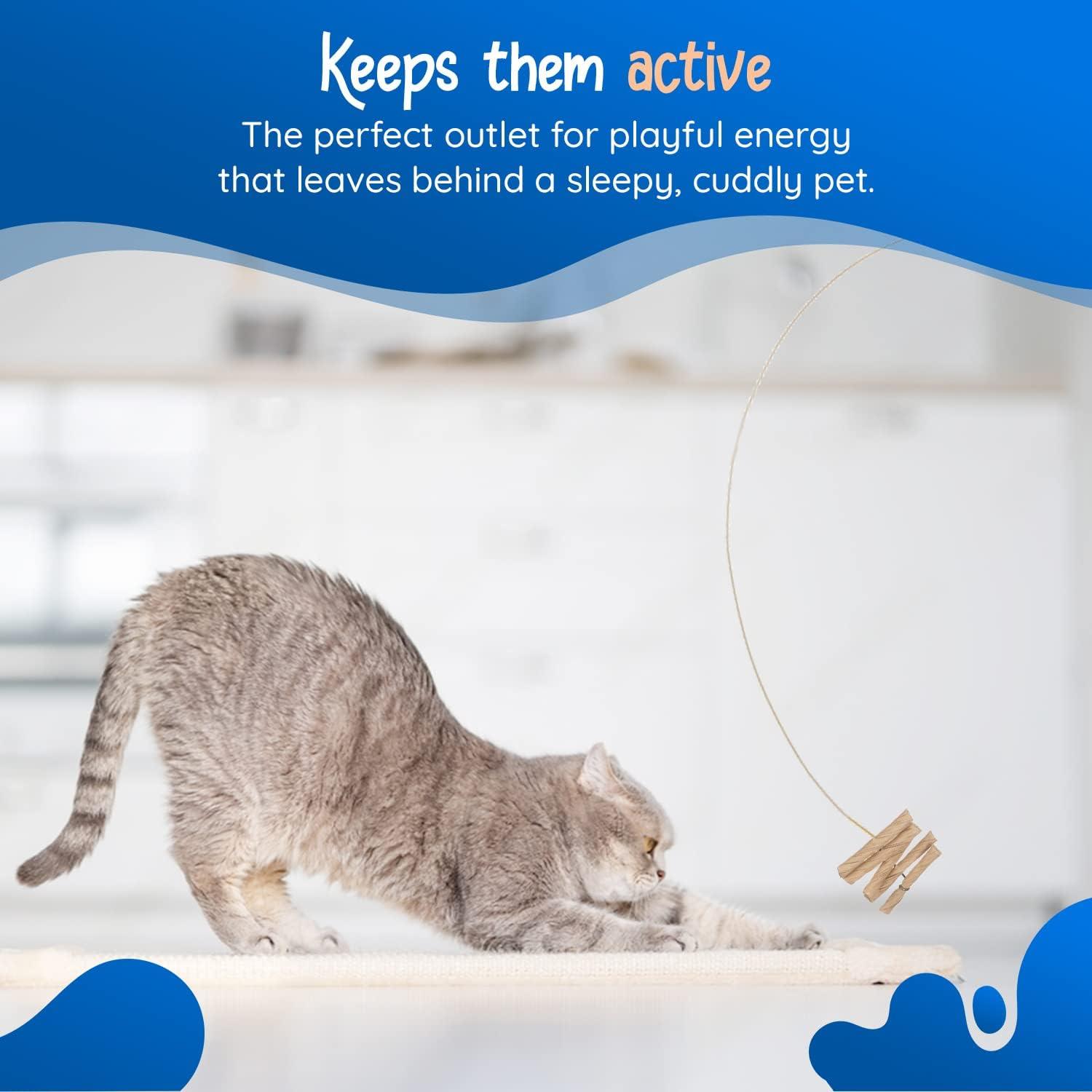 How We rekindled Playtime Joy with This‌ Timeless Cat Toy