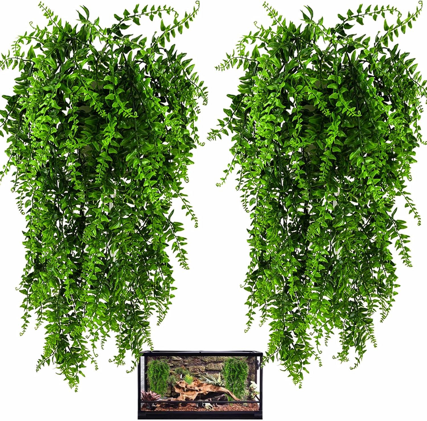 How We Created⁣ a Lush, safe Habitat for Our Reptiles with HERCOCCI