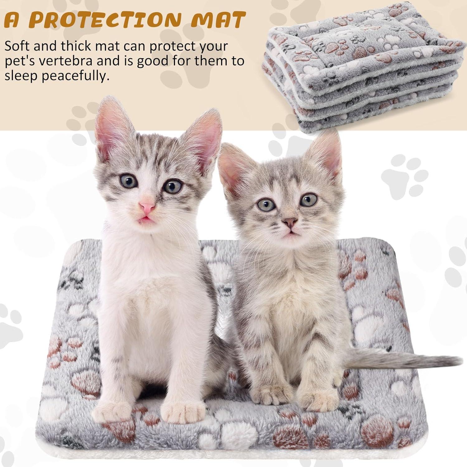 How Our Pets Found Comfort in⁣ These Cozy, Cute​ Small Beds