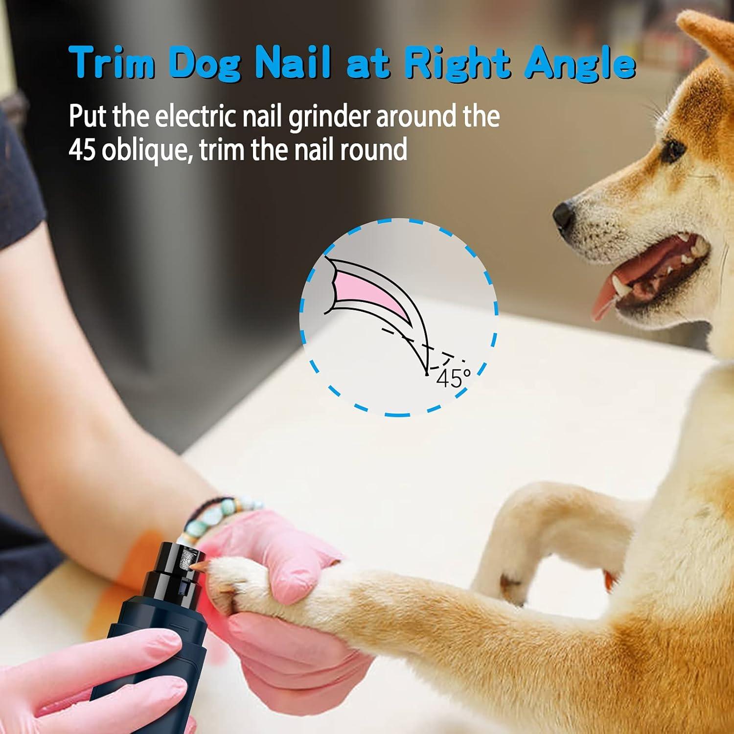 How We Found Calm: Quiet,‍ Safe Nail Care ⁢for Every Pet Paw