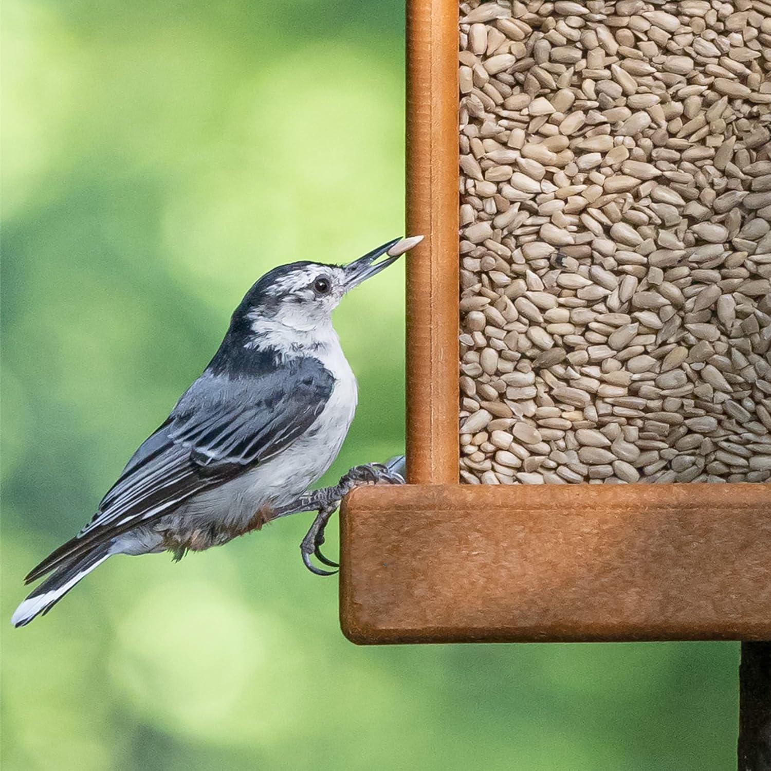 How ⁣Our garden Brightened with This ⁣Mosaic Solar Bird Feeder