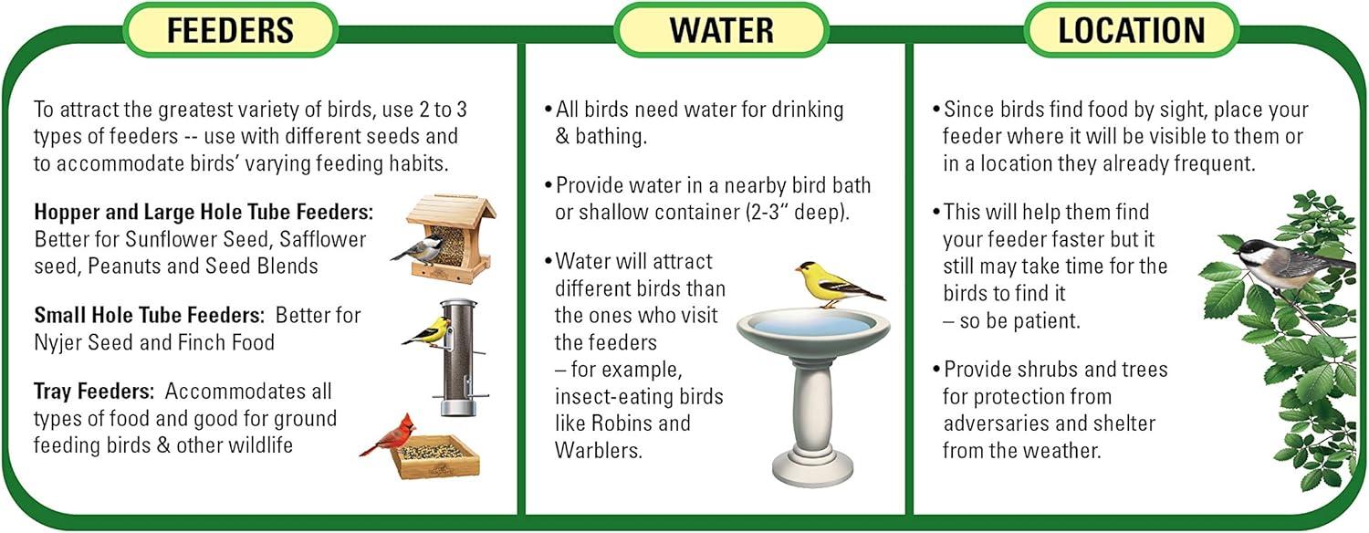 Why Our Backyard Birds ‍Flock to ​this ⁣High-Energy Snack