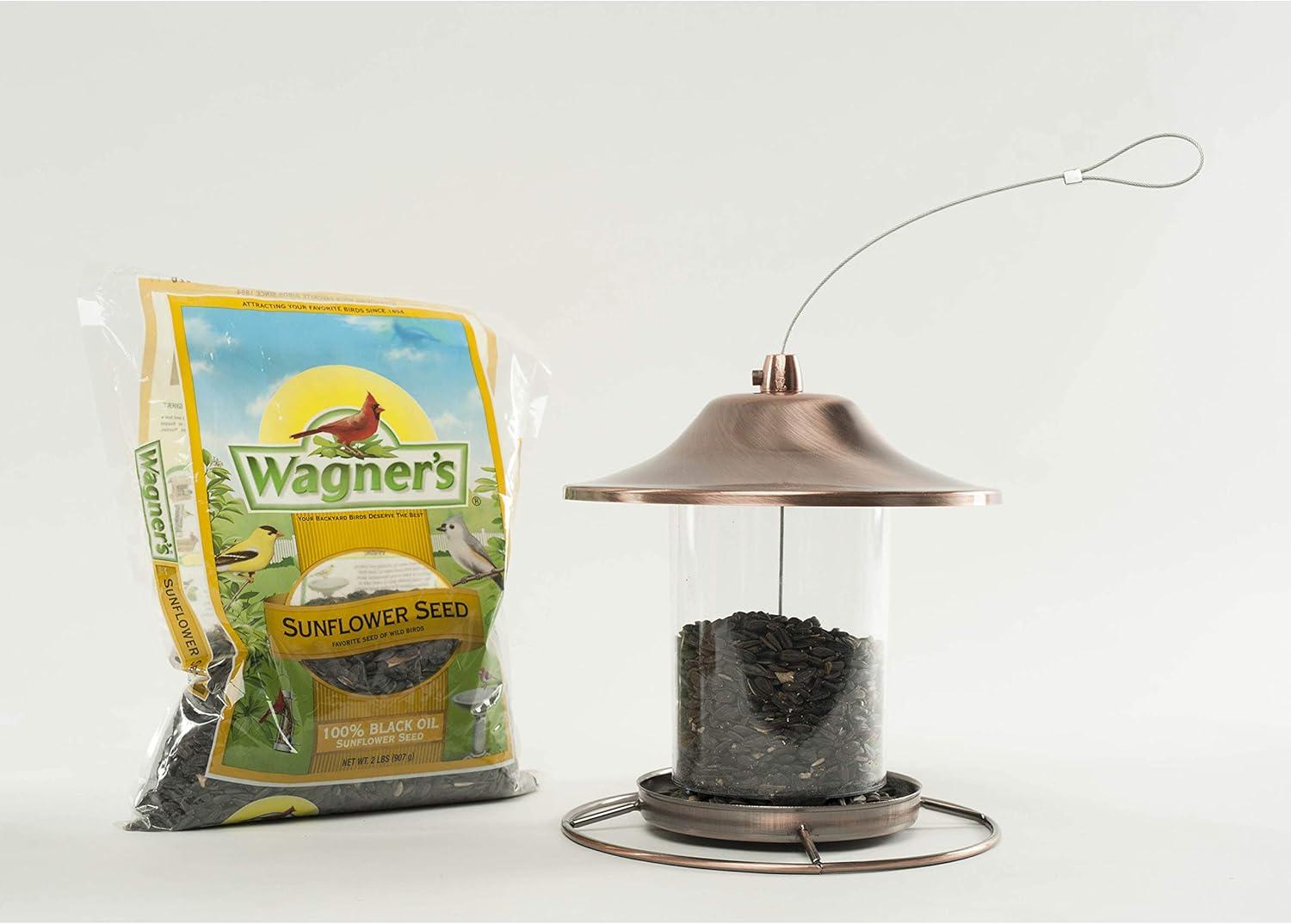 Why⁣ Our Backyard Birds Flock to This High-Energy Snack