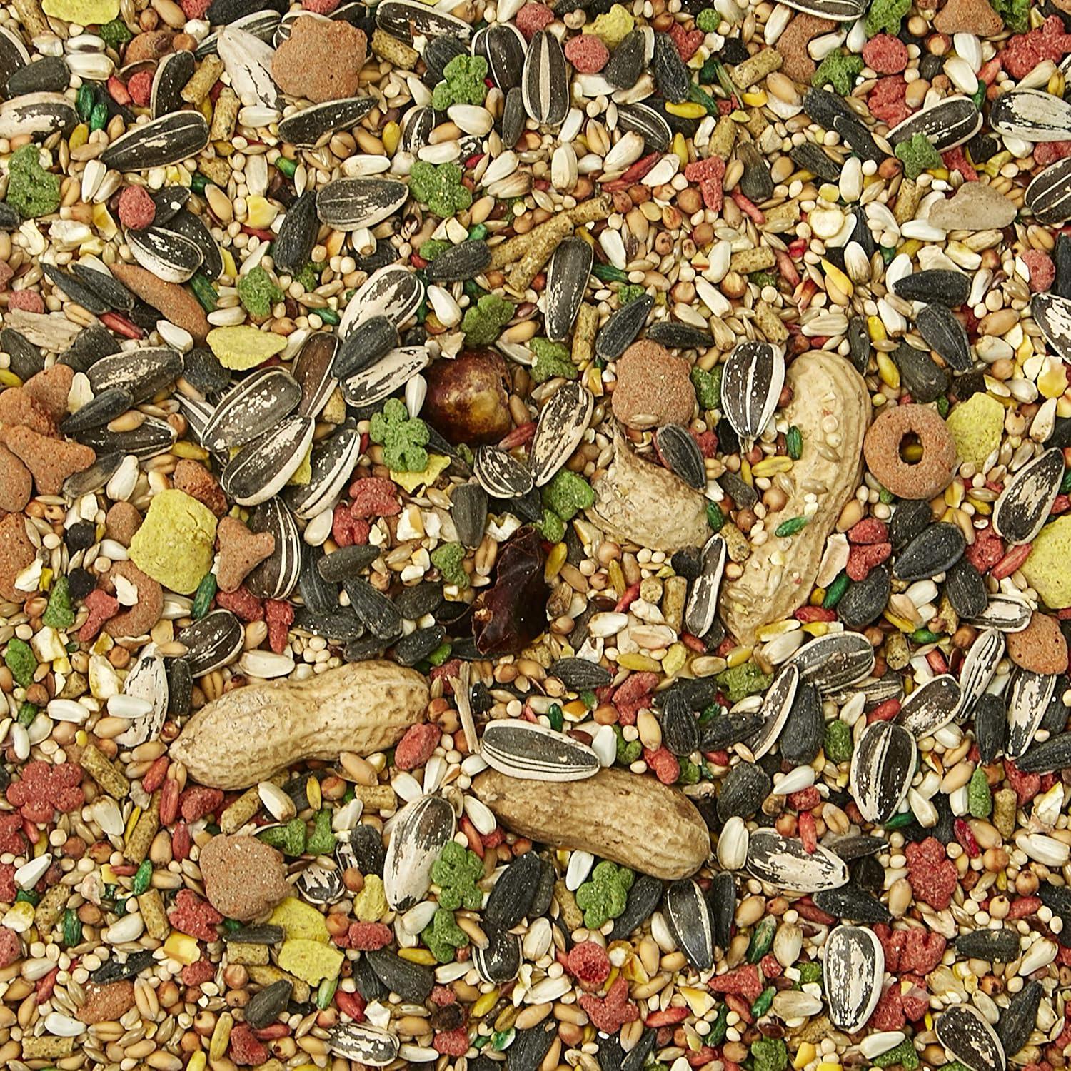 How We Found Healthier⁢ Feathers⁣ and Happy Birds with Kaytee’s Blend