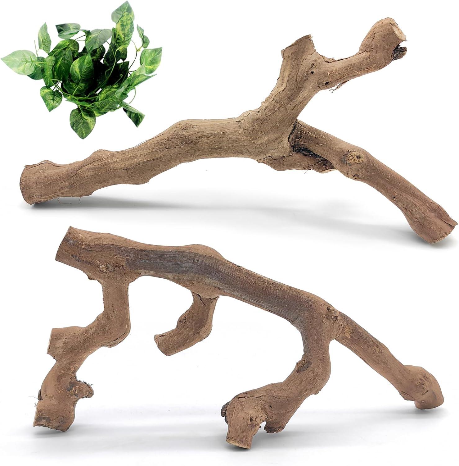 How Our Pets Thrived with These natural Climbing Branches