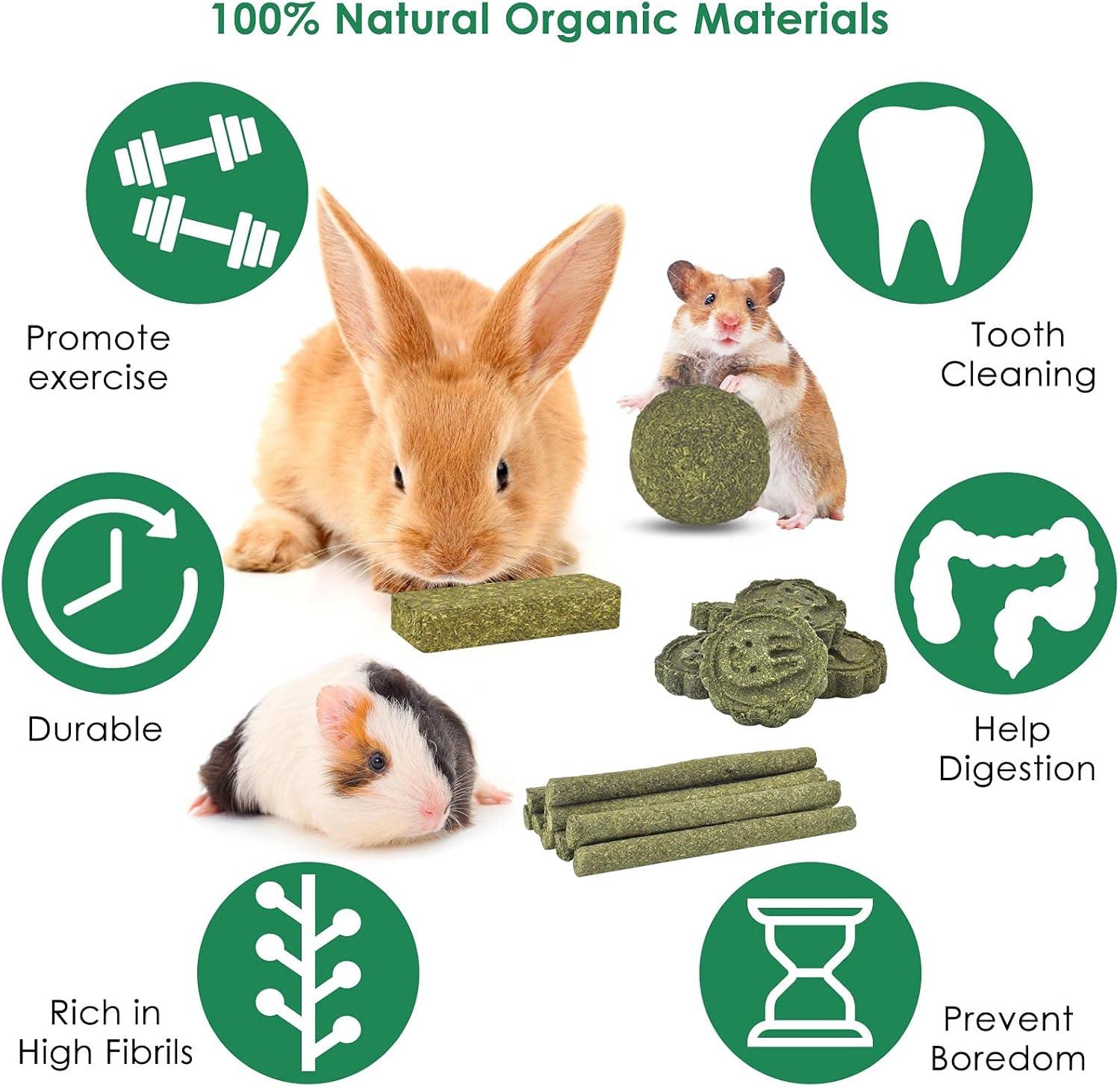 How Natural Timothy Chew Toys Keep Our Rodents’ teeth Healthy
