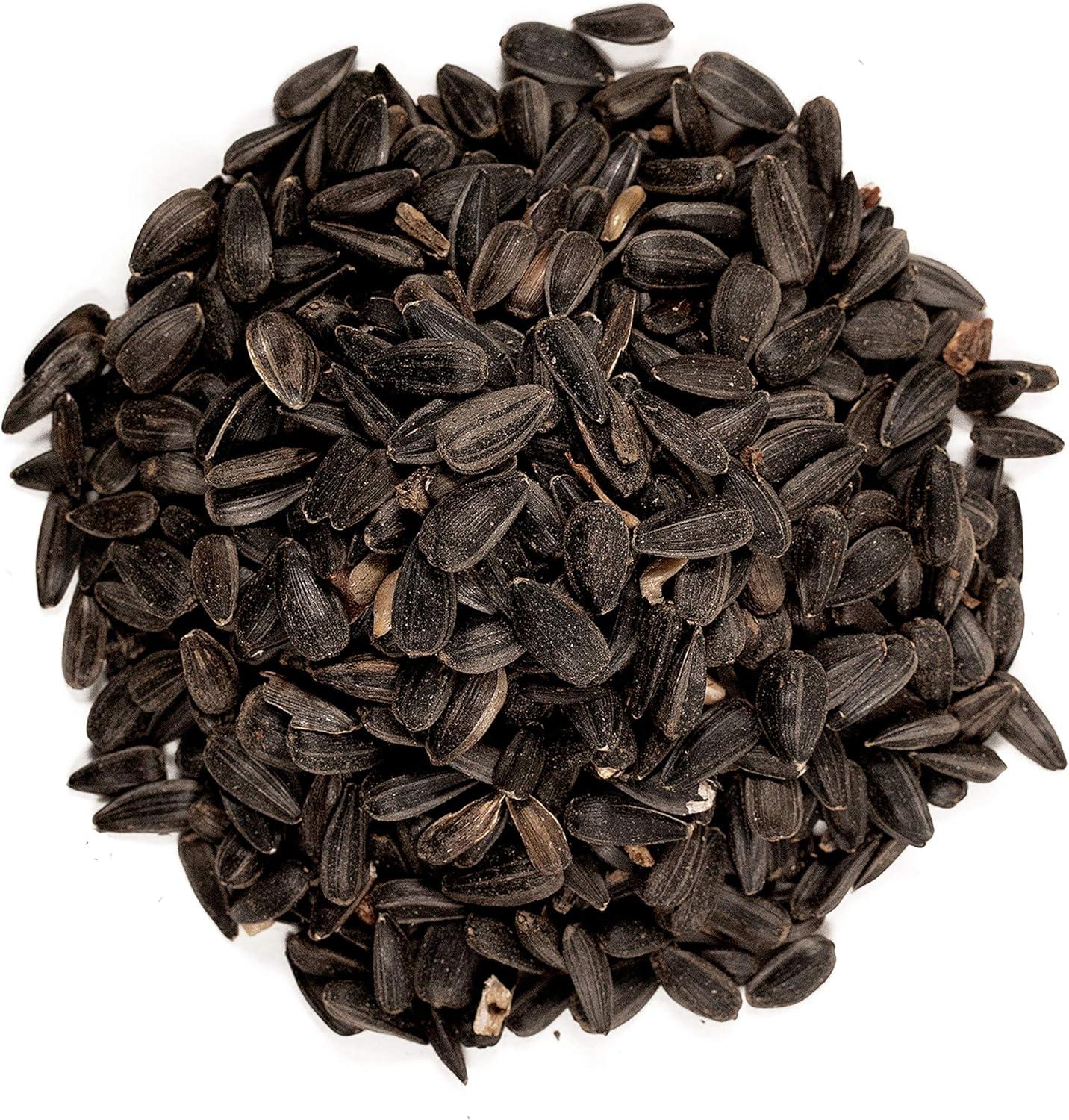 why Our Backyard Birds Flock to This High-Energy Snack