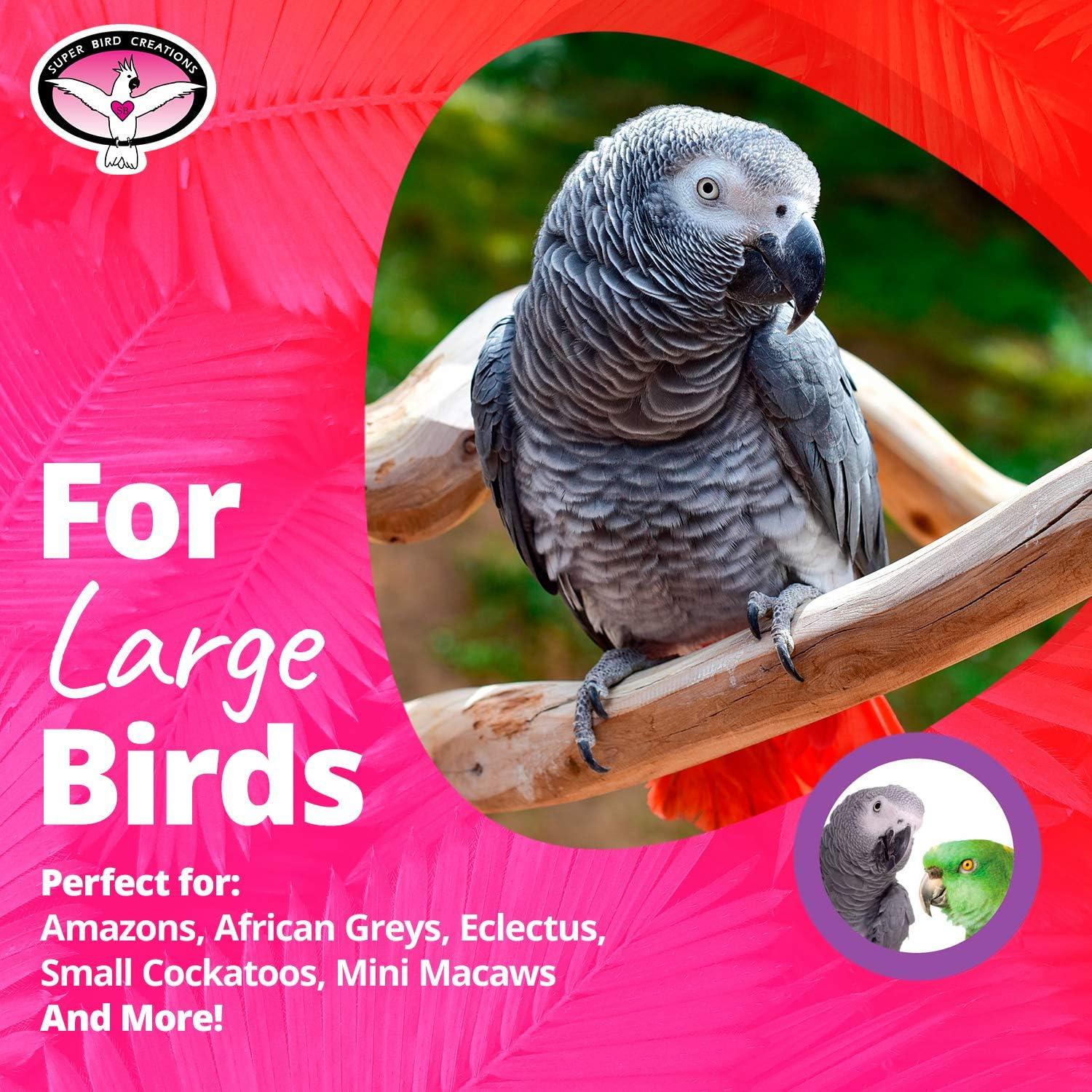 How Our Large⁤ Birds Stay Happy and⁢ Active with Bagel Fun