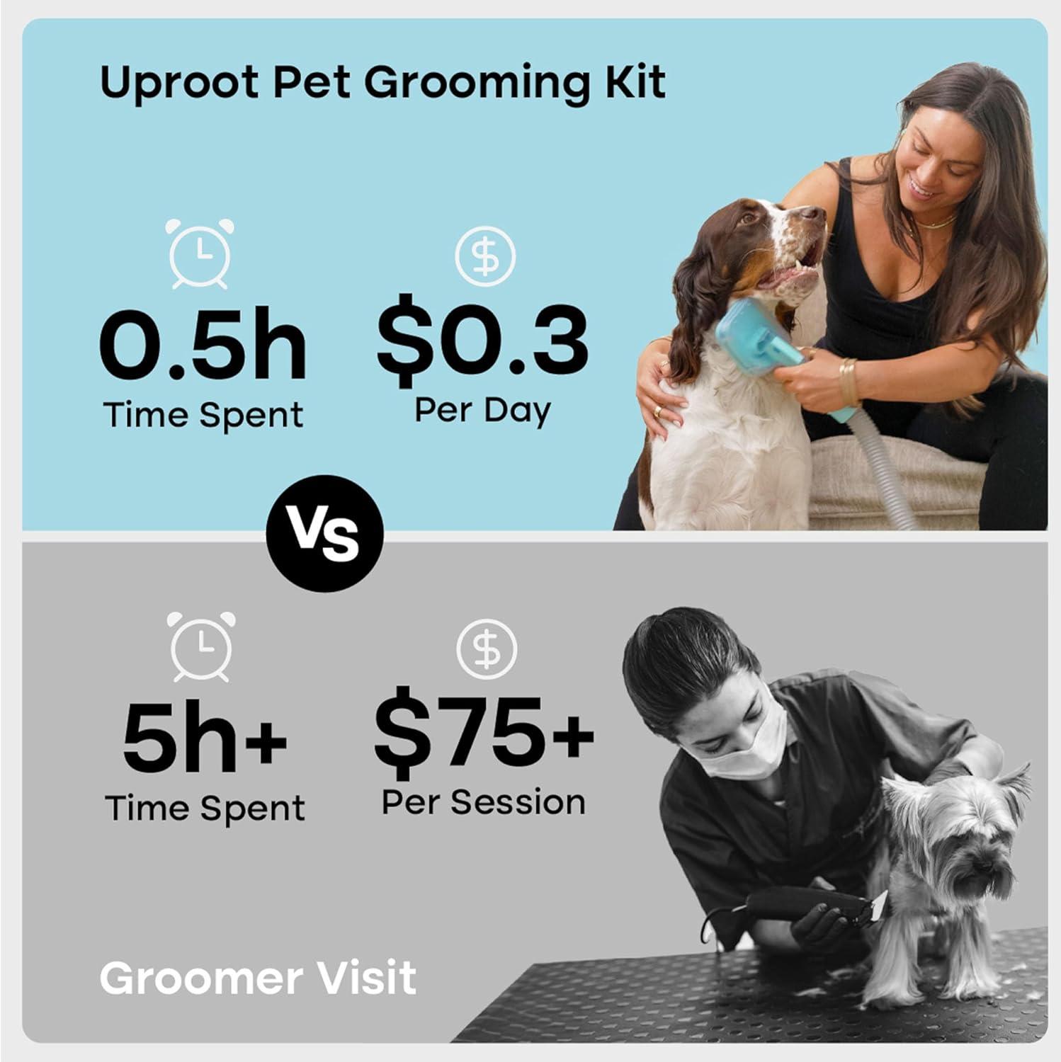 How We Finally Tamed Our Pets’ Hair Mess—Quiet, complete Care