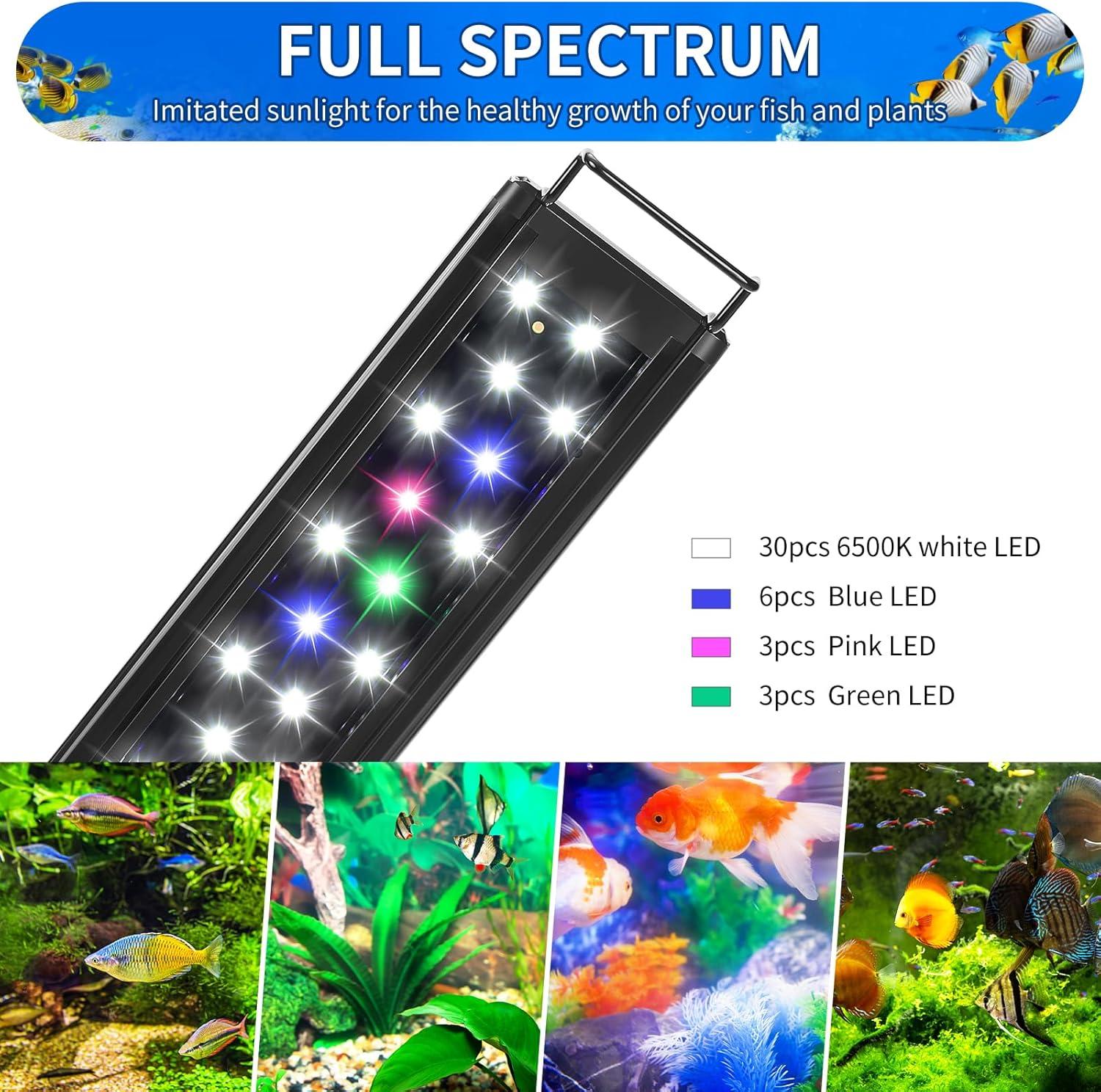 How Our 10-Gallon Tanks Glow with AQUANEAT’s LED Light