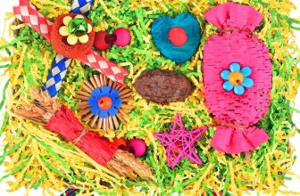 Top Bird Toys for Shredding, Foraging & Chewing Fun 2024