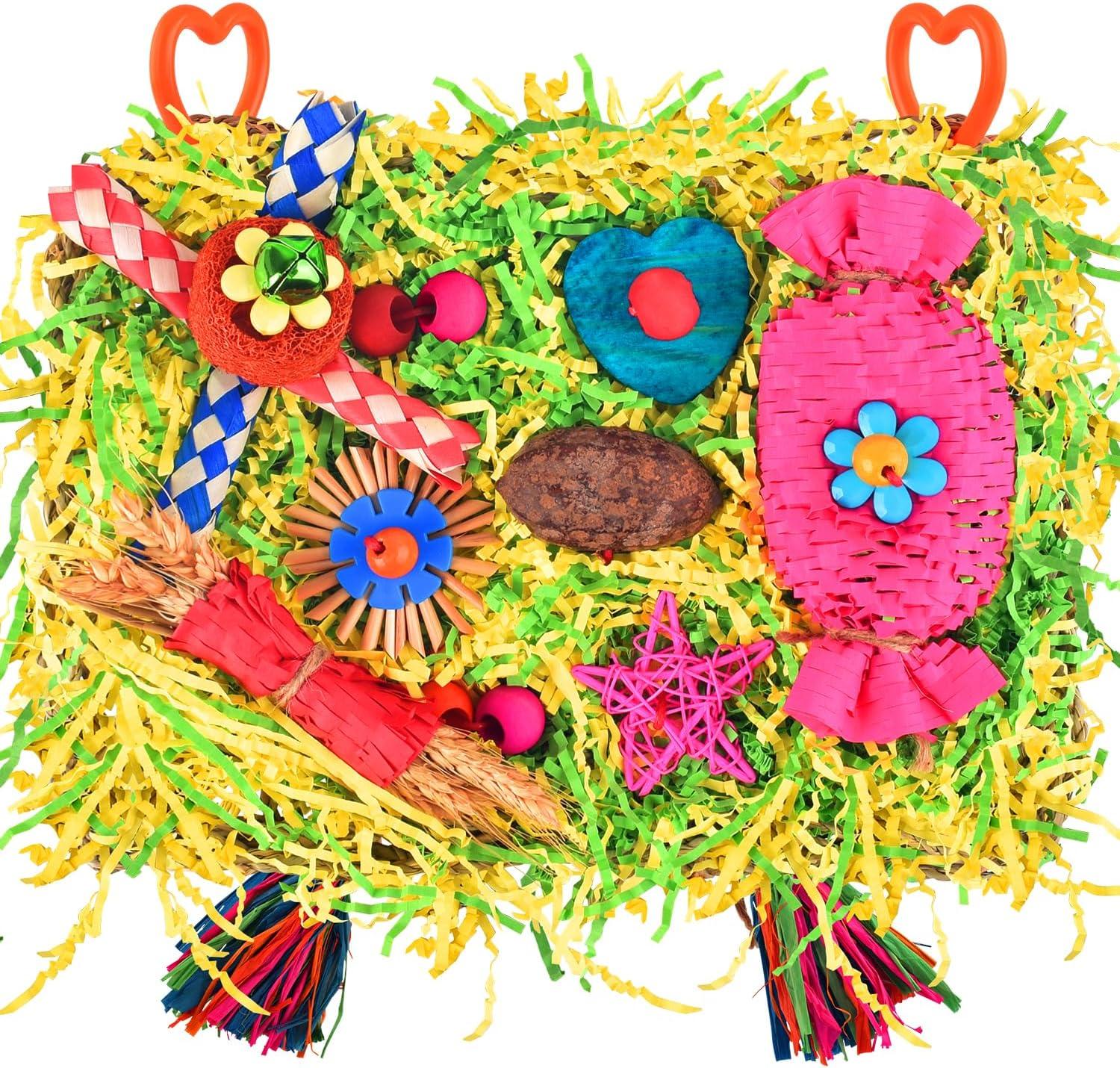 Top Bird Toys for Shredding, Foraging & Chewing Fun 2024