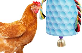 Top Bird Toys & Perches for Parrots, Conures, and Poultry