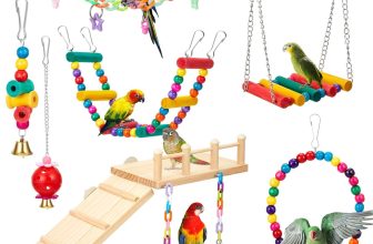 Top Bird Toys for Parakeets, Conures & Small to Medium Birds