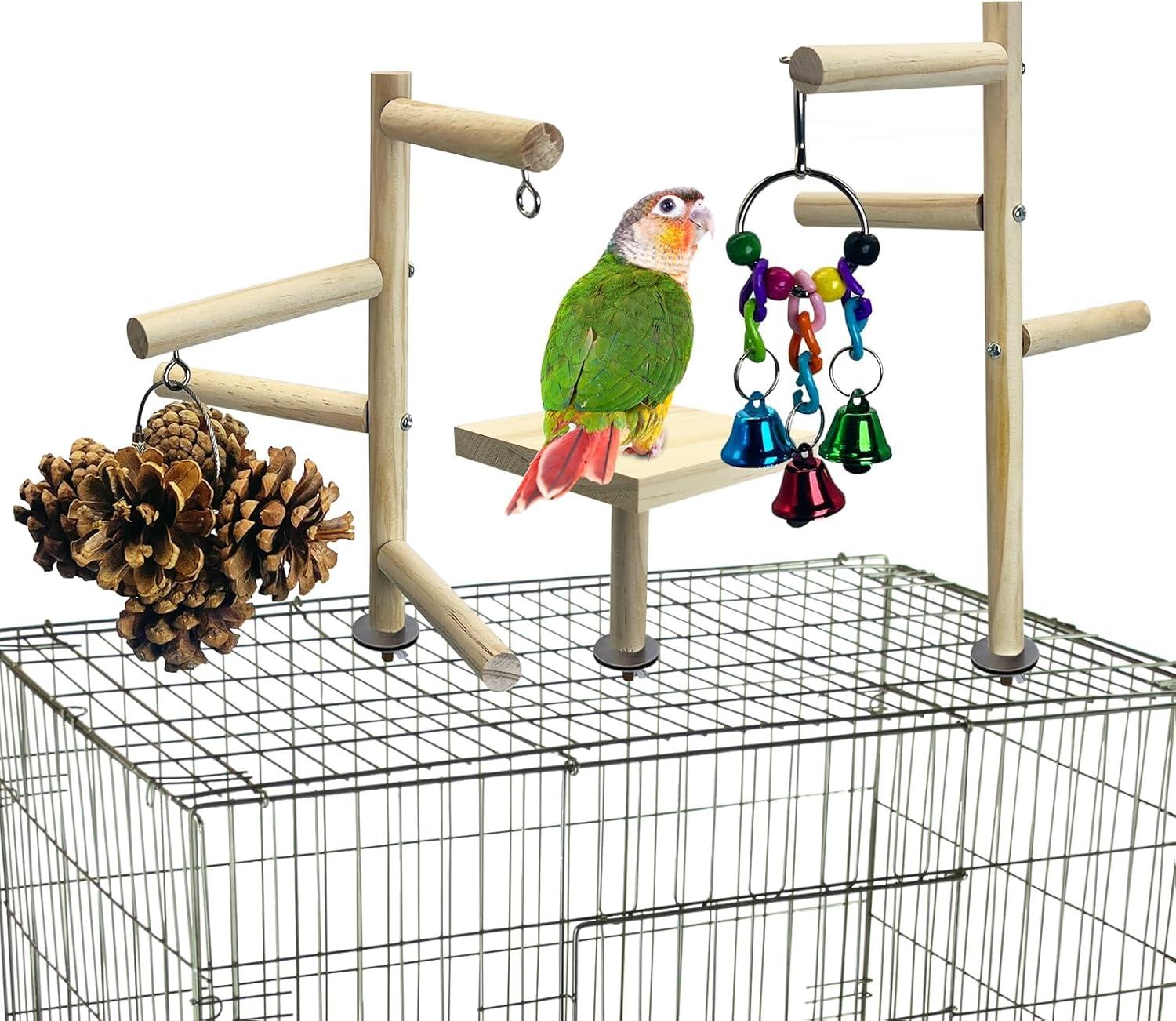 Top Bird Cage Accessories ‌& Seed⁤ Catchers: Must-Have Picks for 2024