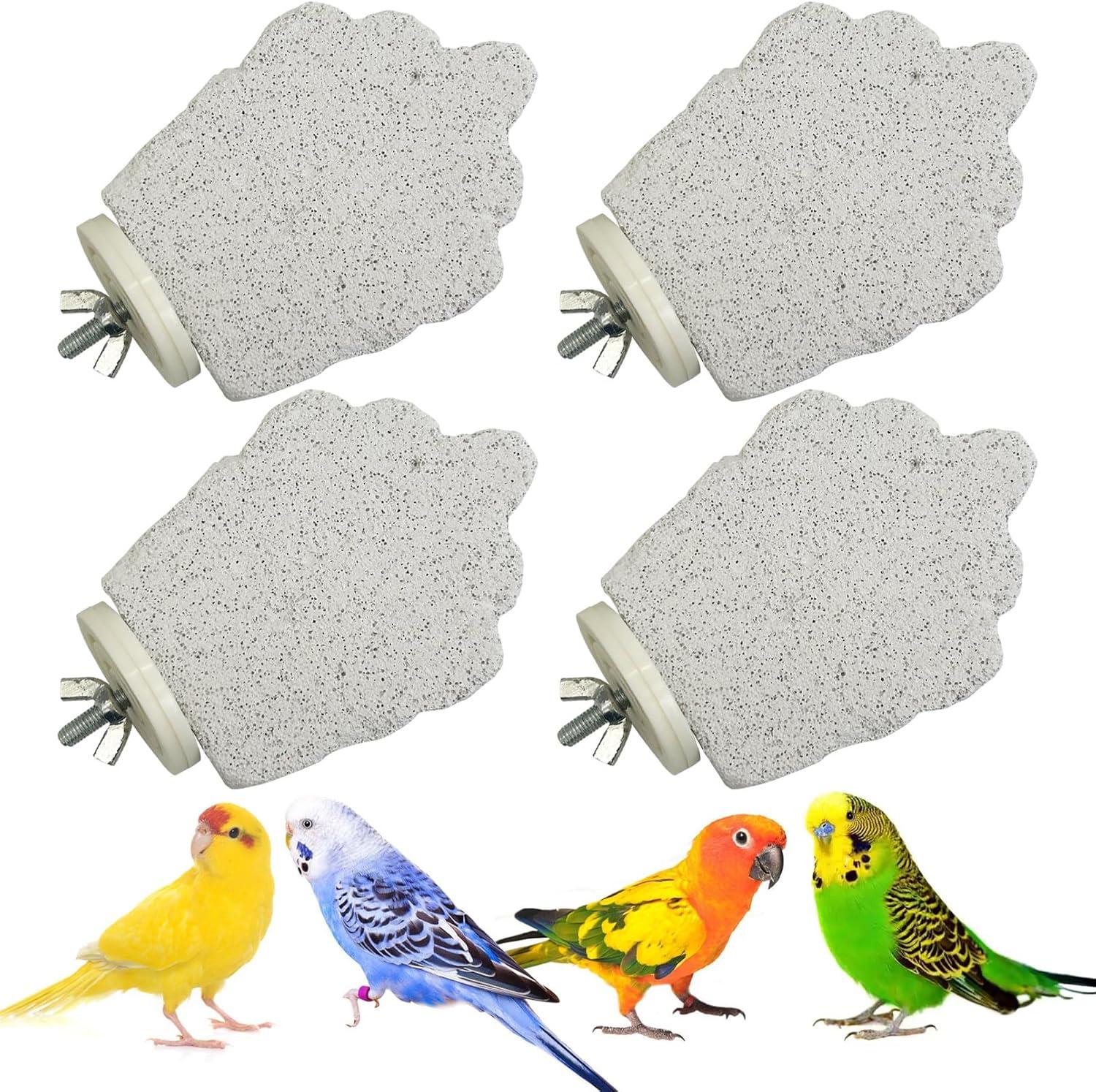 Top Bird Toys & ⁣Perches for ​Parrots, Conures, and Poultry