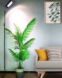 Top Aquarium Gear: Tanks, Lights, Filtration & More Reviewed