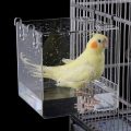 How Our Feathered Friends Found Relaxation in a Cozy Bird Bath