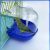 How Our Birds Enjoy Cleaner Feathers with This Easy Bath Solution