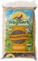 Why Our Backyard Birds Flock to This High-Energy Snack