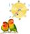 How Our Feathered Friends Stay Active with This Colorful Spinner