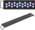 How Our 10-Gallon Tanks Glow with AQUANEAT’s LED Light